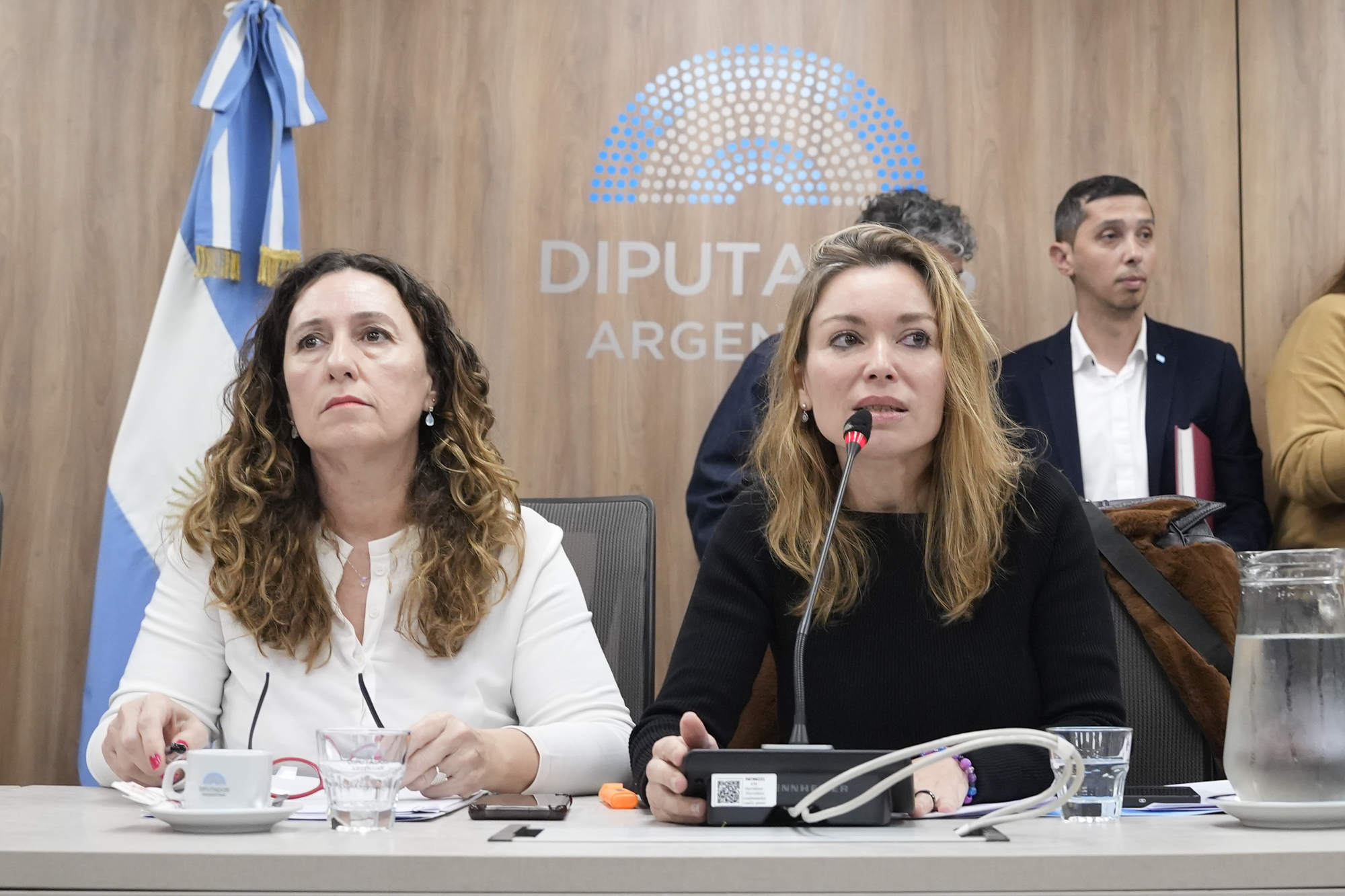 Galeria de imagenes de la noticia DICTAMEN DE MAYORÍA PARA DECLARAR LA EMERGENCIA DE VIOLENCIA DE GÉNERO CONTRA LAS MUJERES Y DIVERSIDADES