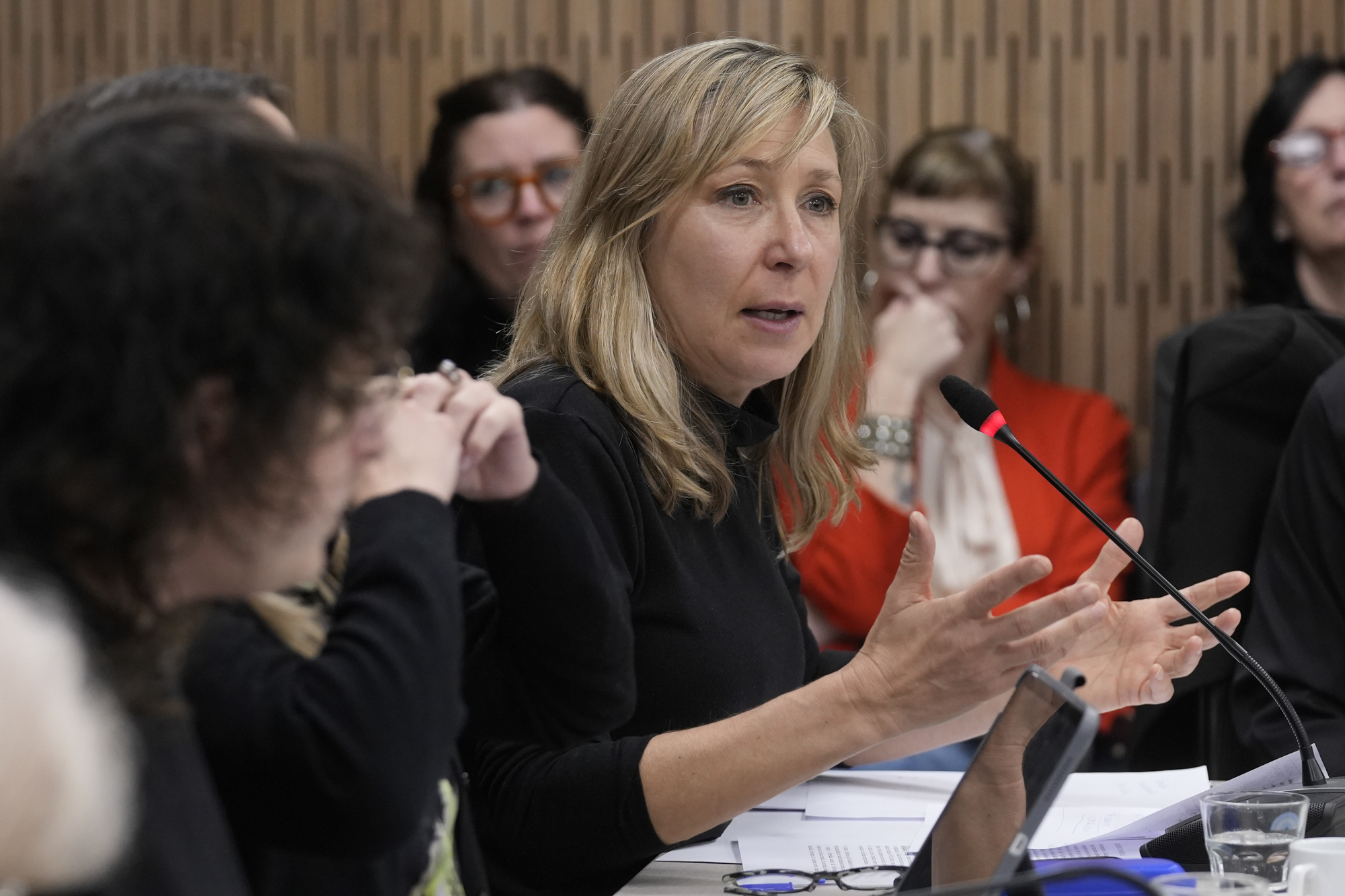 Galeria de imagenes de la noticia DICTAMEN DE MAYORÍA PARA DECLARAR LA EMERGENCIA DE VIOLENCIA DE GÉNERO CONTRA LAS MUJERES Y DIVERSIDADES