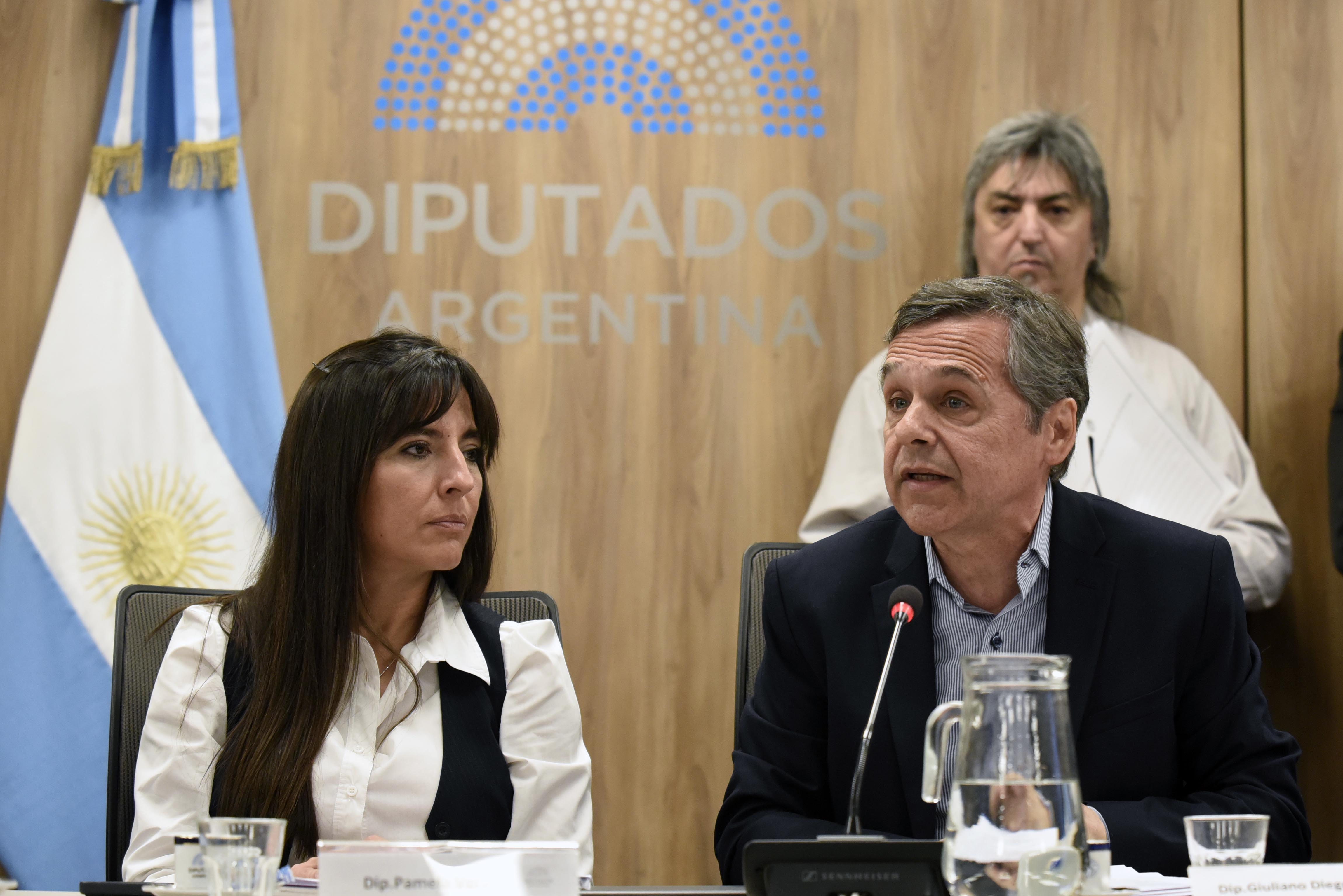 Galeria de imagenes de la noticia CARLOS D’ABATE, SUBSECRETARIO DE RELACIONES MUNICIPALES, EXPUSO EN DIPUTADOS 