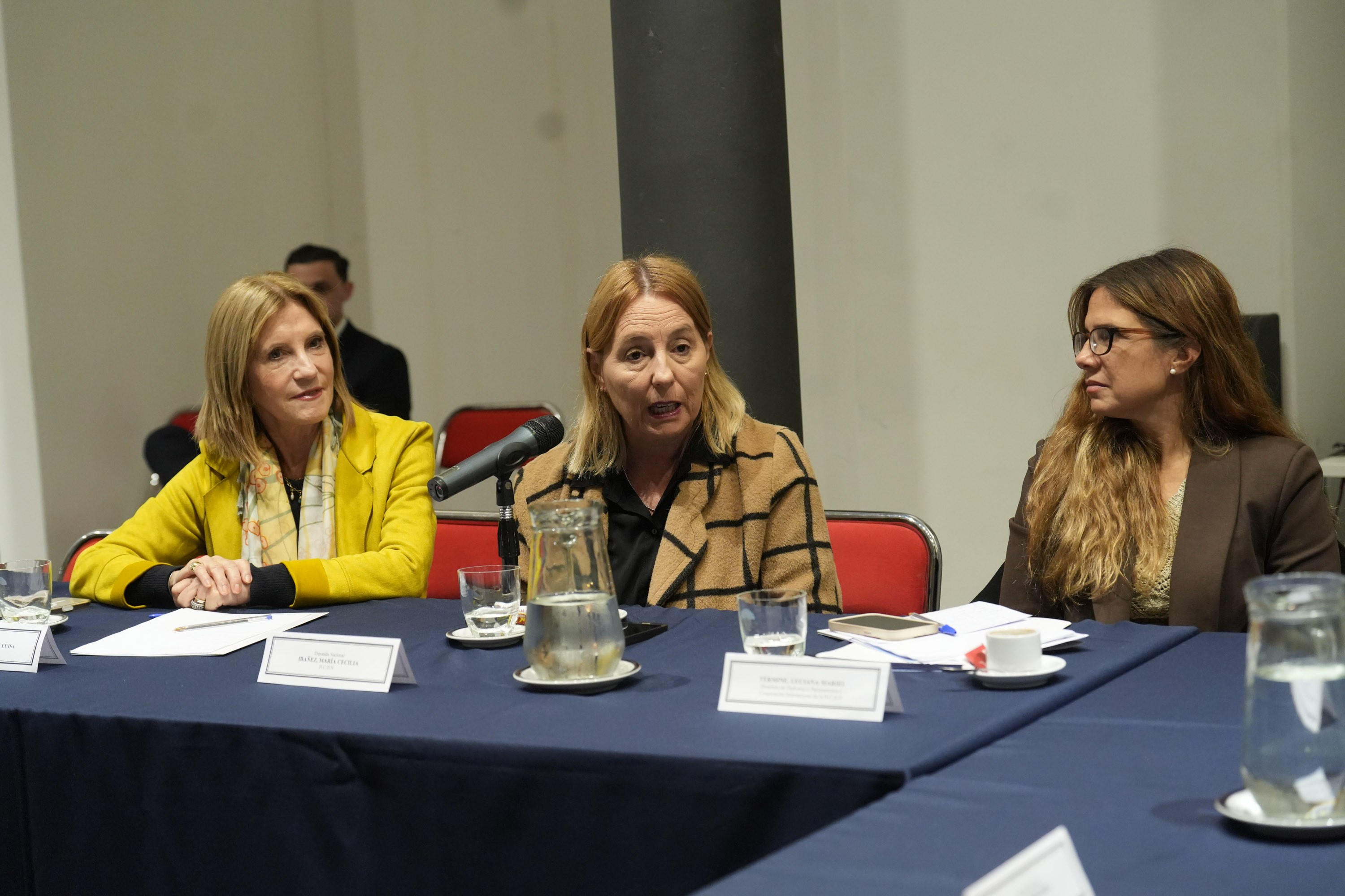 Galeria de imagenes de la noticia CON EJE EN EL COMERCIO, DIPUTADOS RECIBIÓ AL VICEMINISTRO DE ASUNTOS MULTILATERALES Y COOPERACIÓN DE PANAMÁ 