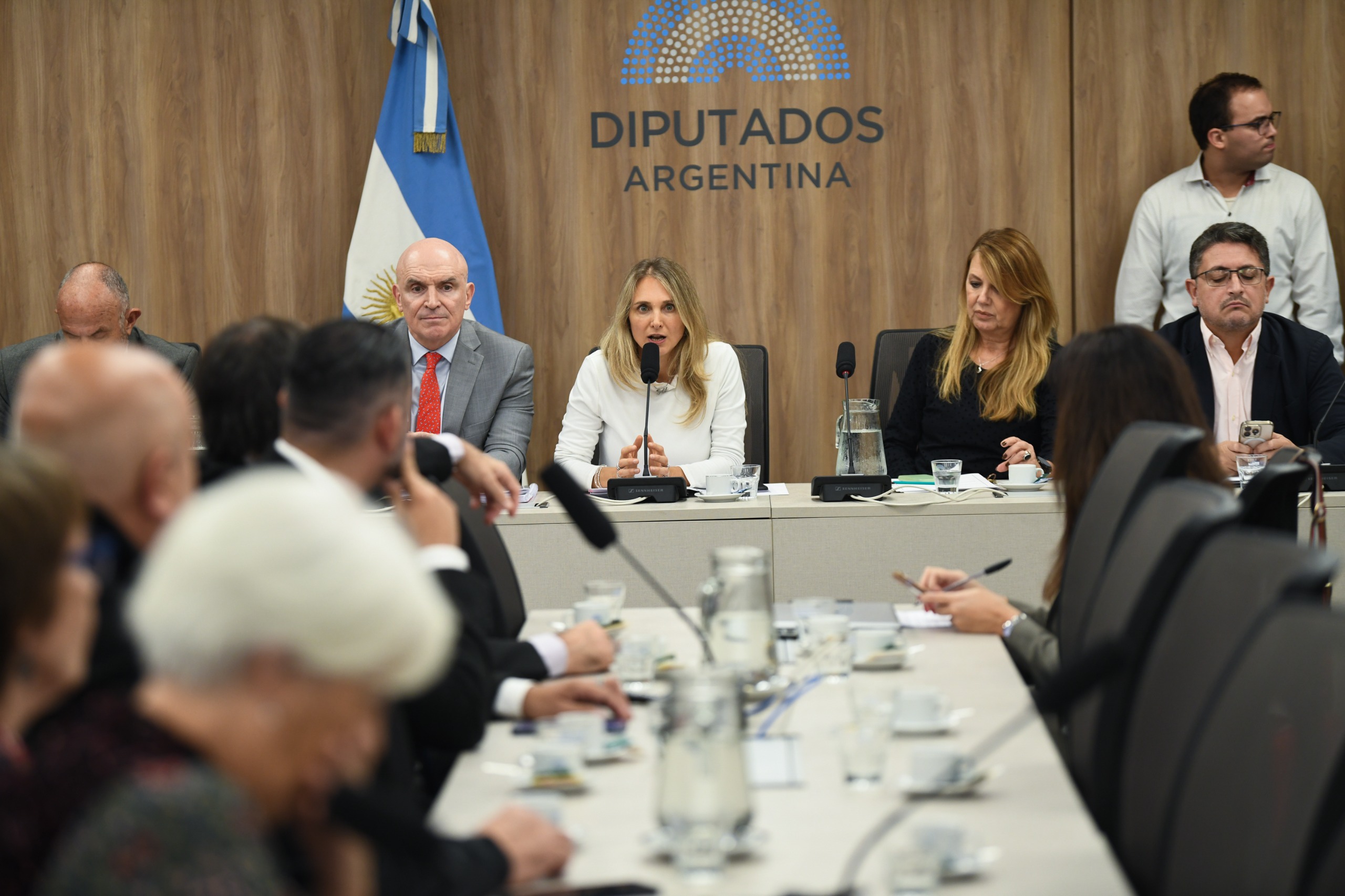 Galeria de imagenes de la noticia CON INVITADOS, SE REALIZÓ UN NUEVO PLENARIO PARA DEBATIR SOBRE PROYECTOS DE MORATORIA PREVISIONAL