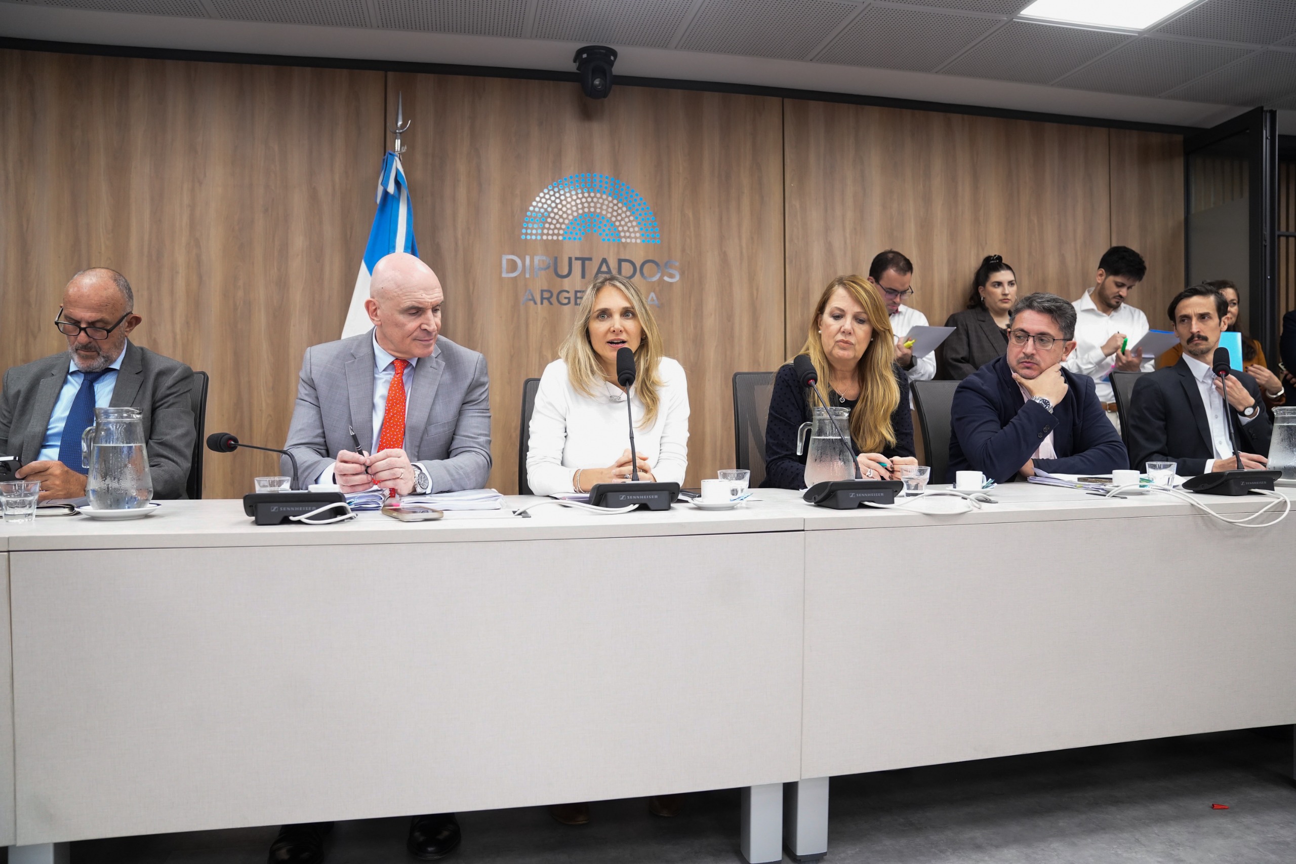 Galeria de imagenes de la noticia CON INVITADOS, SE REALIZÓ UN NUEVO PLENARIO PARA DEBATIR SOBRE PROYECTOS DE MORATORIA PREVISIONAL