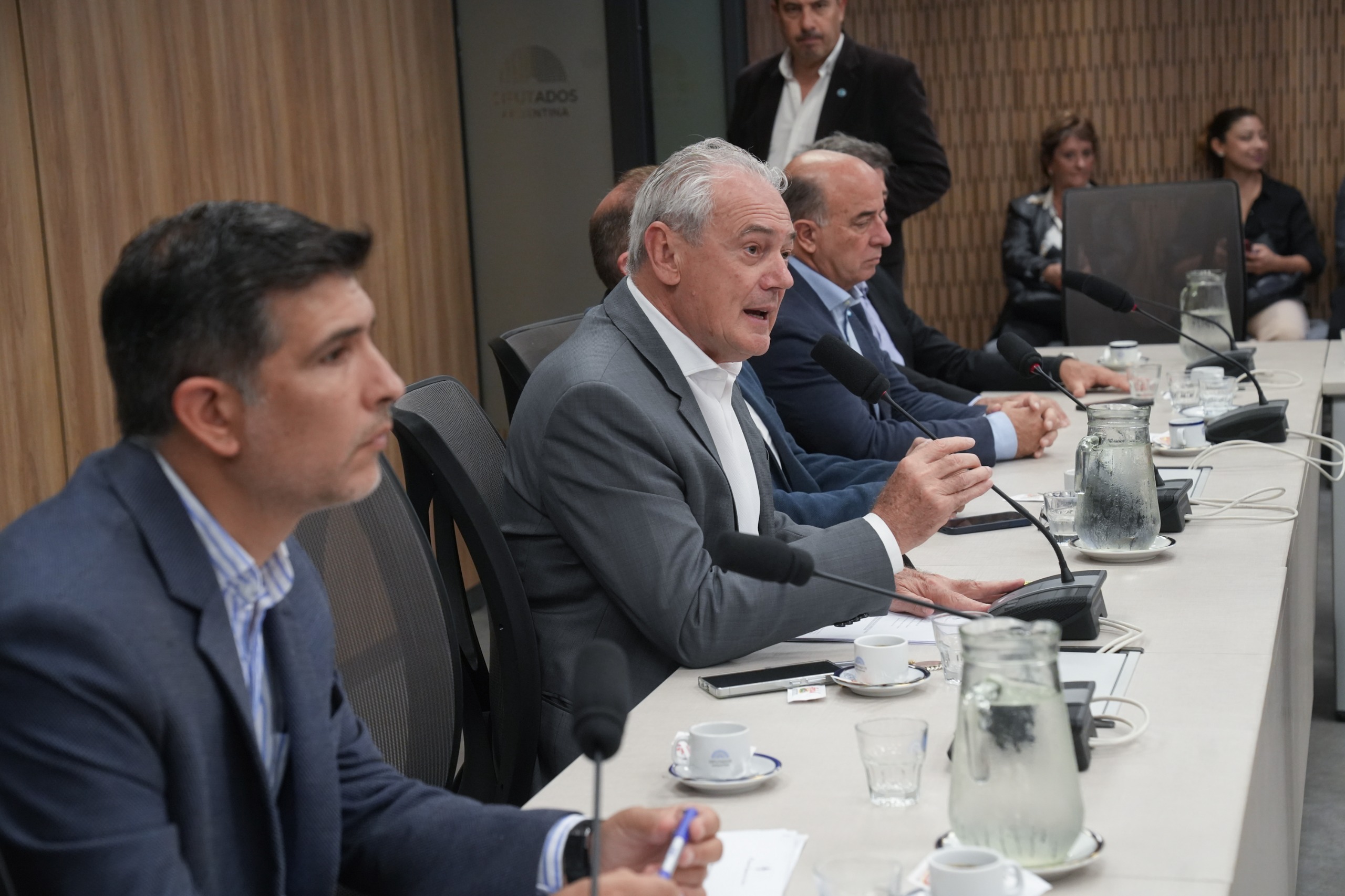 Galeria de imagenes de la noticia PLENARIO DEBATIÓ SOBRE PRESUPUESTOS MÍNIMOS DE PROTECCIÓN AMBIENTAL PARA LA APLICACIÓN DE PRODUCTOS FITOSANITARIOS