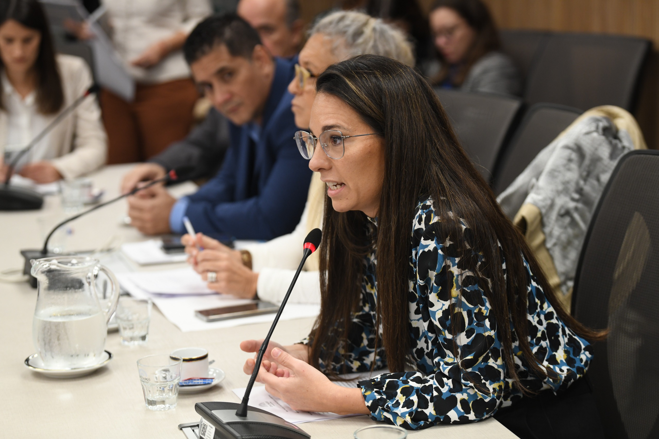 Galeria de imagenes de la noticia DICTAMEN DE MAYORÍA AL PROYECTO DE LEY QUE DECLARA LA EMERGENCIA DE LAS MIPYMES EN ARGENTINA