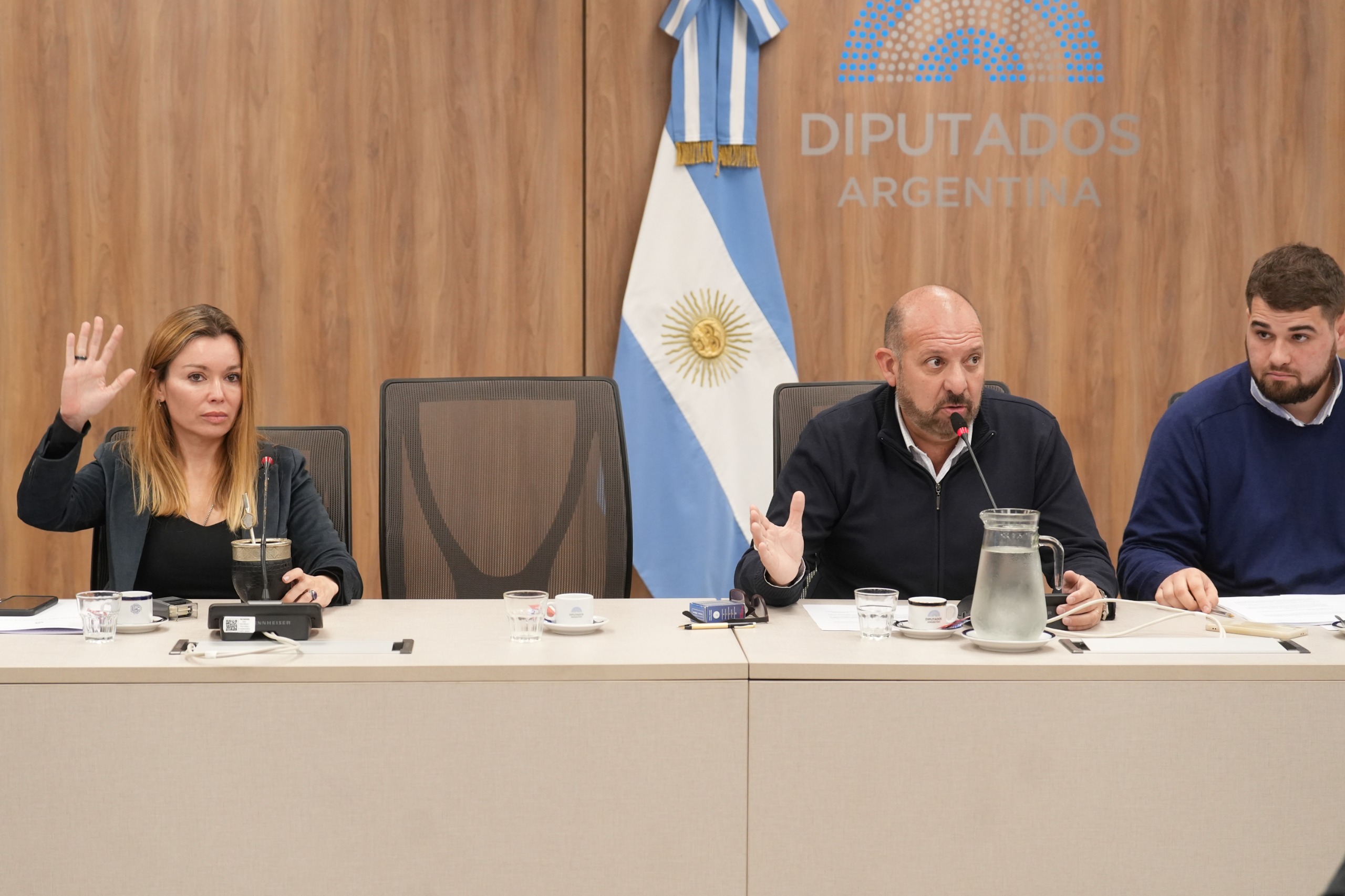 Galeria de imagenes de la noticia AVANZÓ EN COMISIÓN EL PROYECTO QUE APUNTA A LA REDUCCIÓN DE METANO EN EL SECTOR DE HIDROCARBUROS