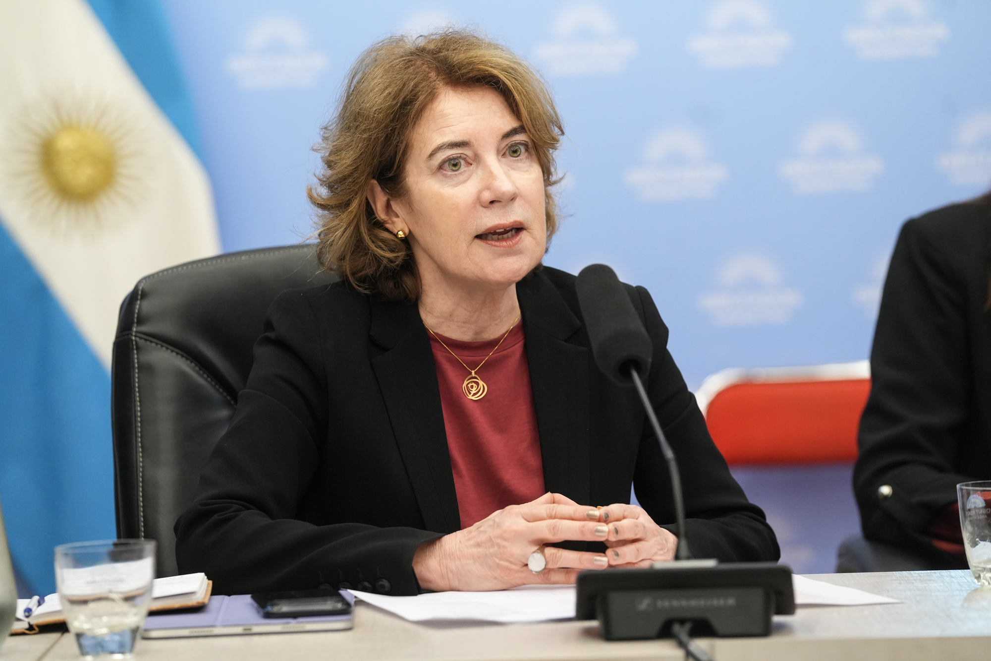 Galeria de imagenes de la noticia EN DIFERENTES REUNIONES CONJUNTAS, LA COMISIÓN DE RELACIONES EXTERIORES AVALÓ CUATRO CONVENIOS