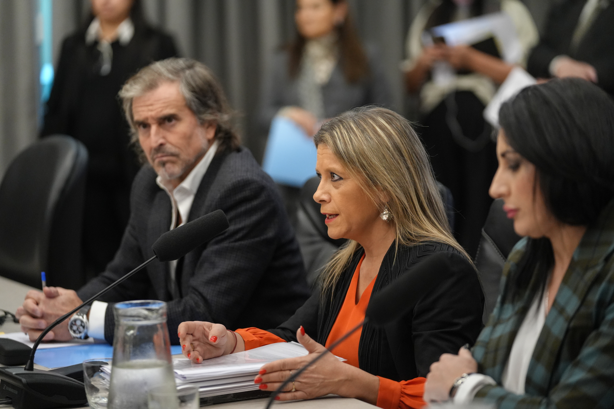 Galeria de imagenes de la noticia EN DIFERENTES REUNIONES CONJUNTAS, LA COMISIÓN DE RELACIONES EXTERIORES AVALÓ CUATRO CONVENIOS
