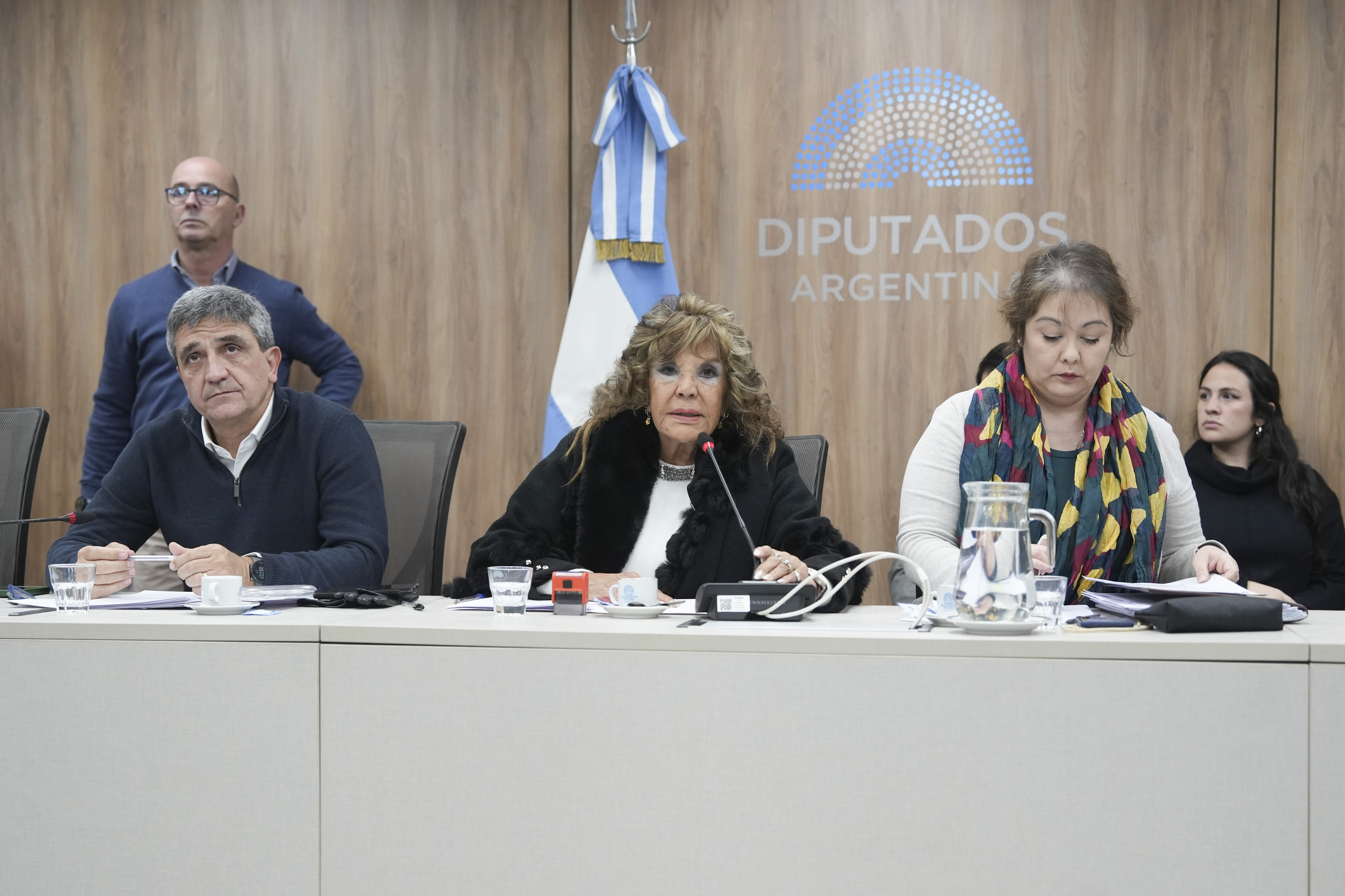 Galeria de imagenes de la noticia CON INVITADOS, SE ABORDÓ EN COMISIÓN LA PROBLEMÁTICA DE LA SALUD MENTAL