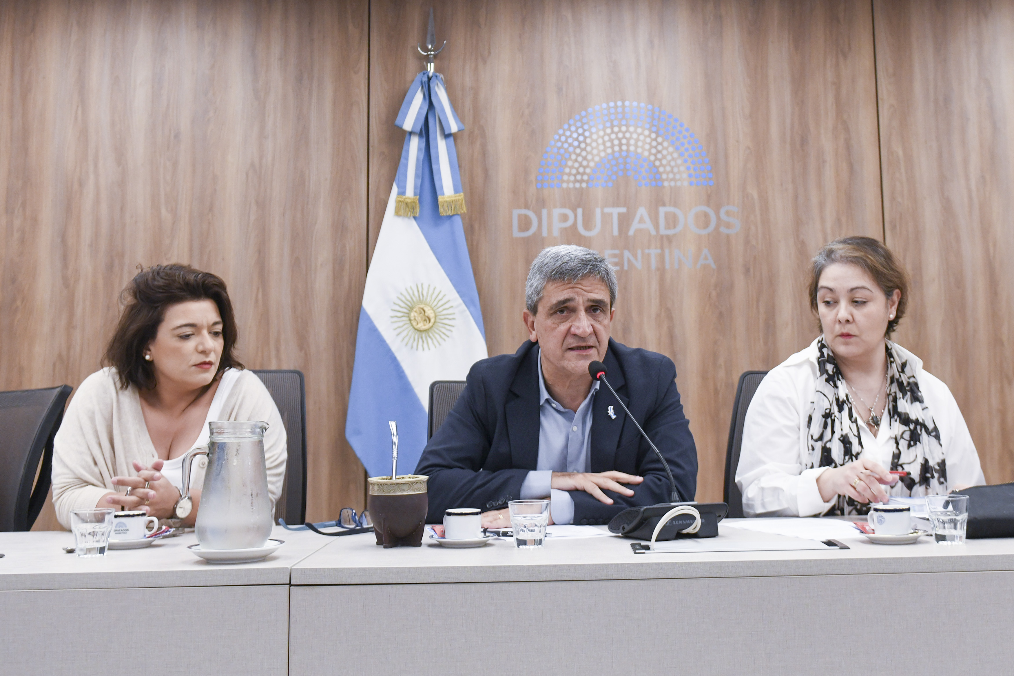 Galeria de imagenes de la noticia REUNIÓN INFORMATIVA SOBRE “EMERGENCIA SANITARIA DE LA SALUD PEDIÁTRICA Y DE LAS RESIDENCIAS NACIONALES EN SALUD”