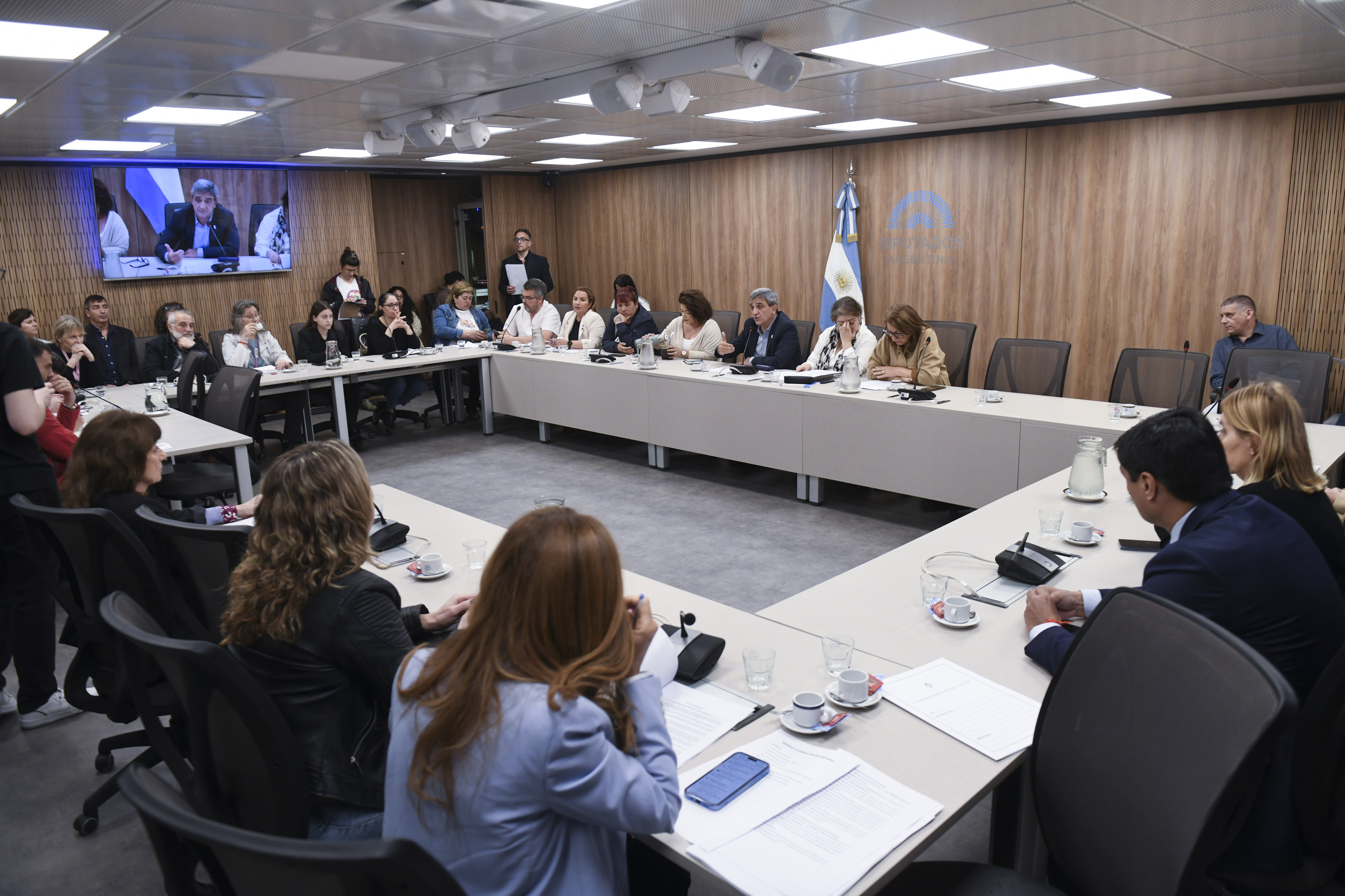 Galeria de imagenes de la noticia REUNIÓN INFORMATIVA SOBRE “EMERGENCIA SANITARIA DE LA SALUD PEDIÁTRICA Y DE LAS RESIDENCIAS NACIONALES EN SALUD”