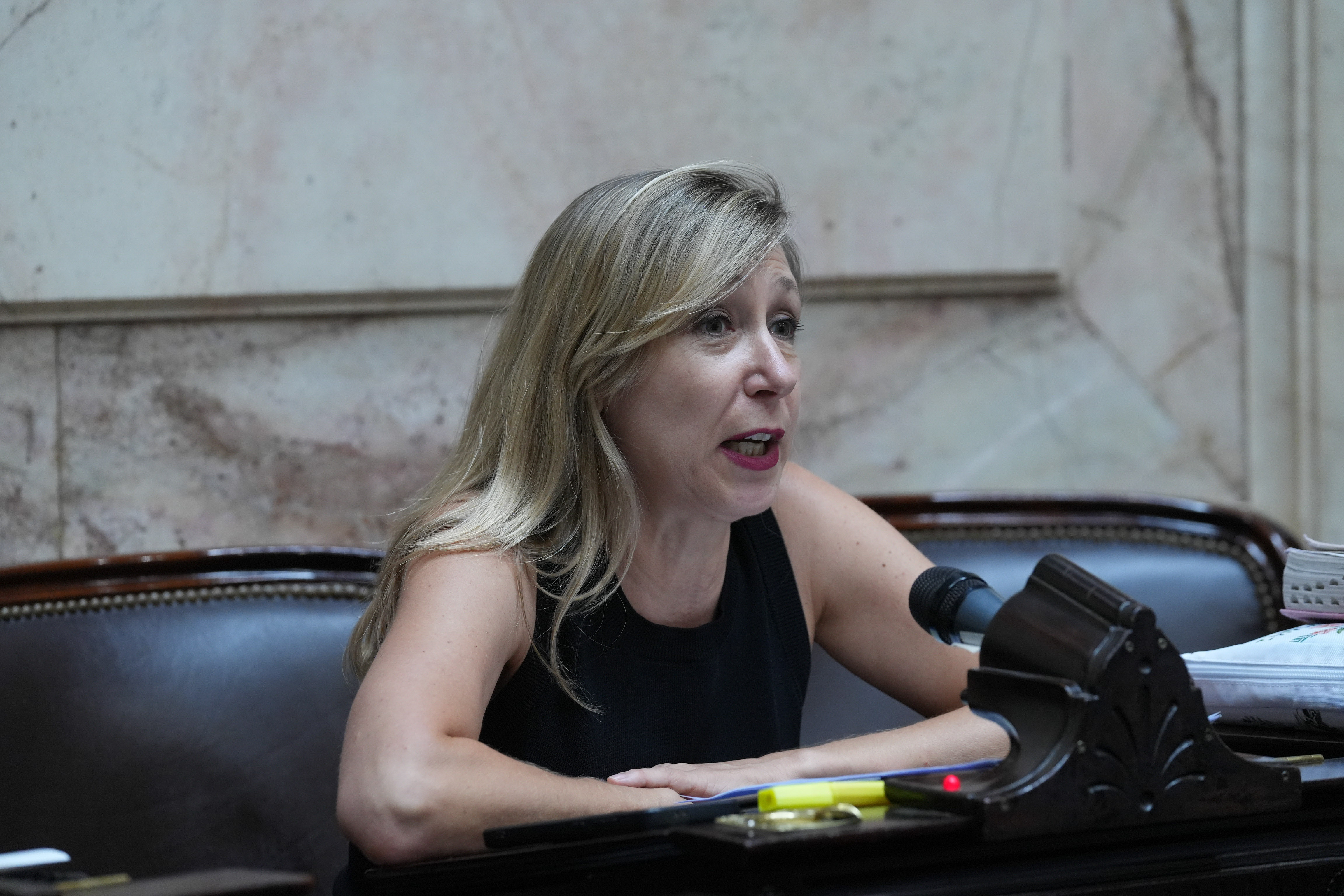 Galeria de imagenes de la noticia EN SESIÓN ESPECIAL, LA CÁMARA DE DIPUTADOS LE DIO MEDIA SANCIÓN AL PROYECTO DE MODERNIZACIÓN LABORAL 