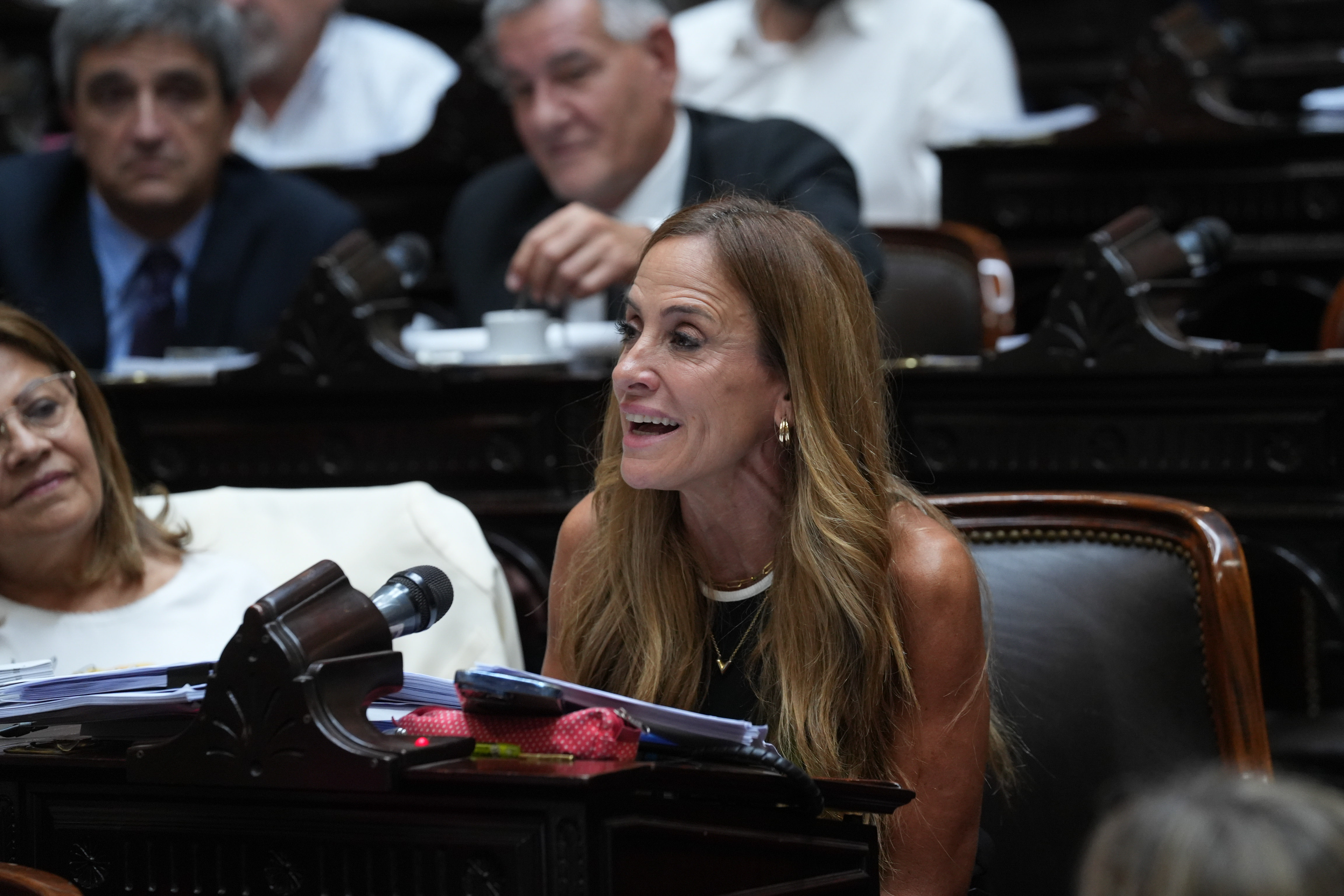 Galeria de imagenes de la noticia EN SESIÓN ESPECIAL, LA CÁMARA DE DIPUTADOS LE DIO MEDIA SANCIÓN AL PROYECTO DE MODERNIZACIÓN LABORAL 