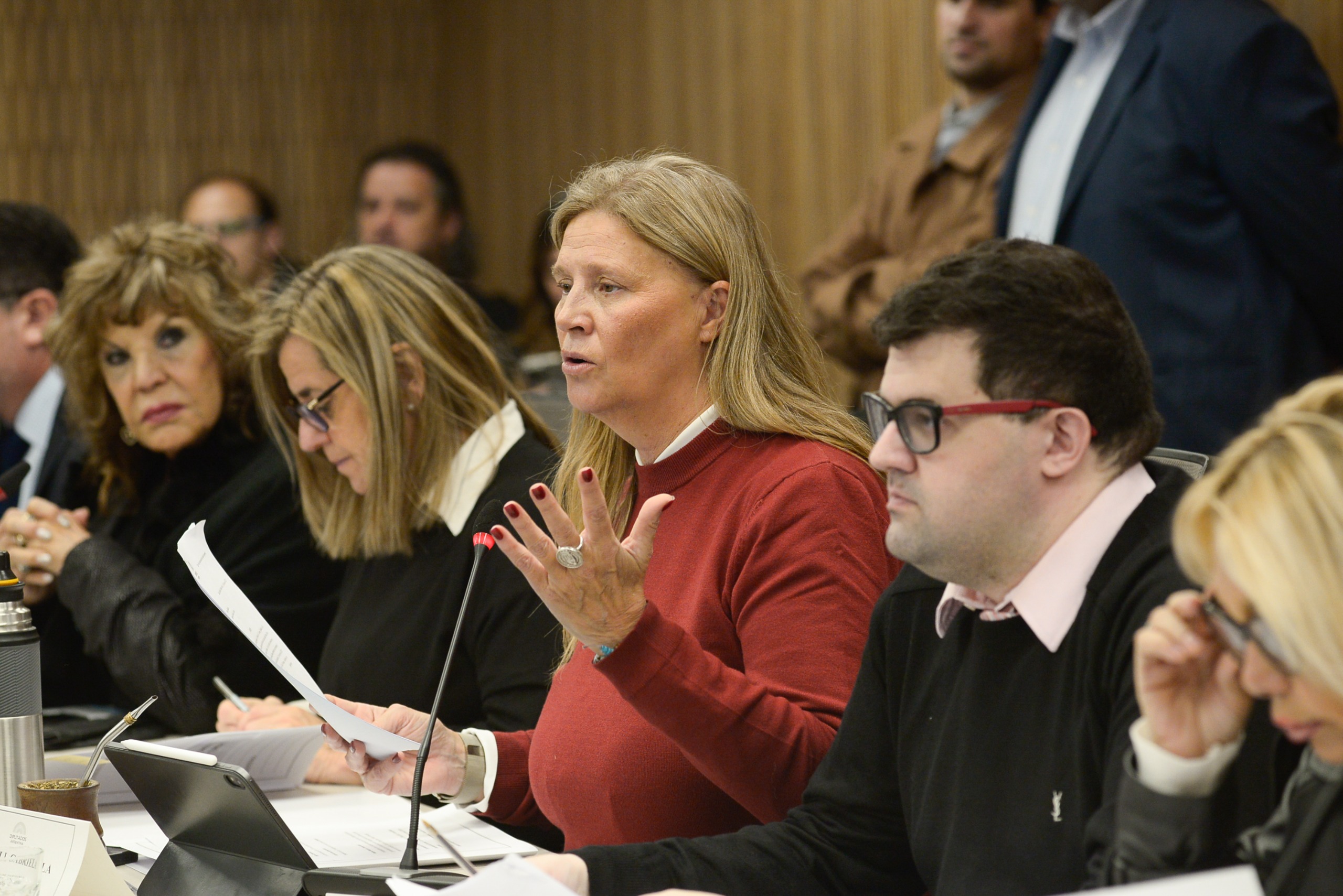Galeria de imagenes de la noticia CON EXPOSITORES, LA COMISIÓN DE TURISMO ABORDÓ LA SITUACIÓN DEL TURISMO SOCIAL