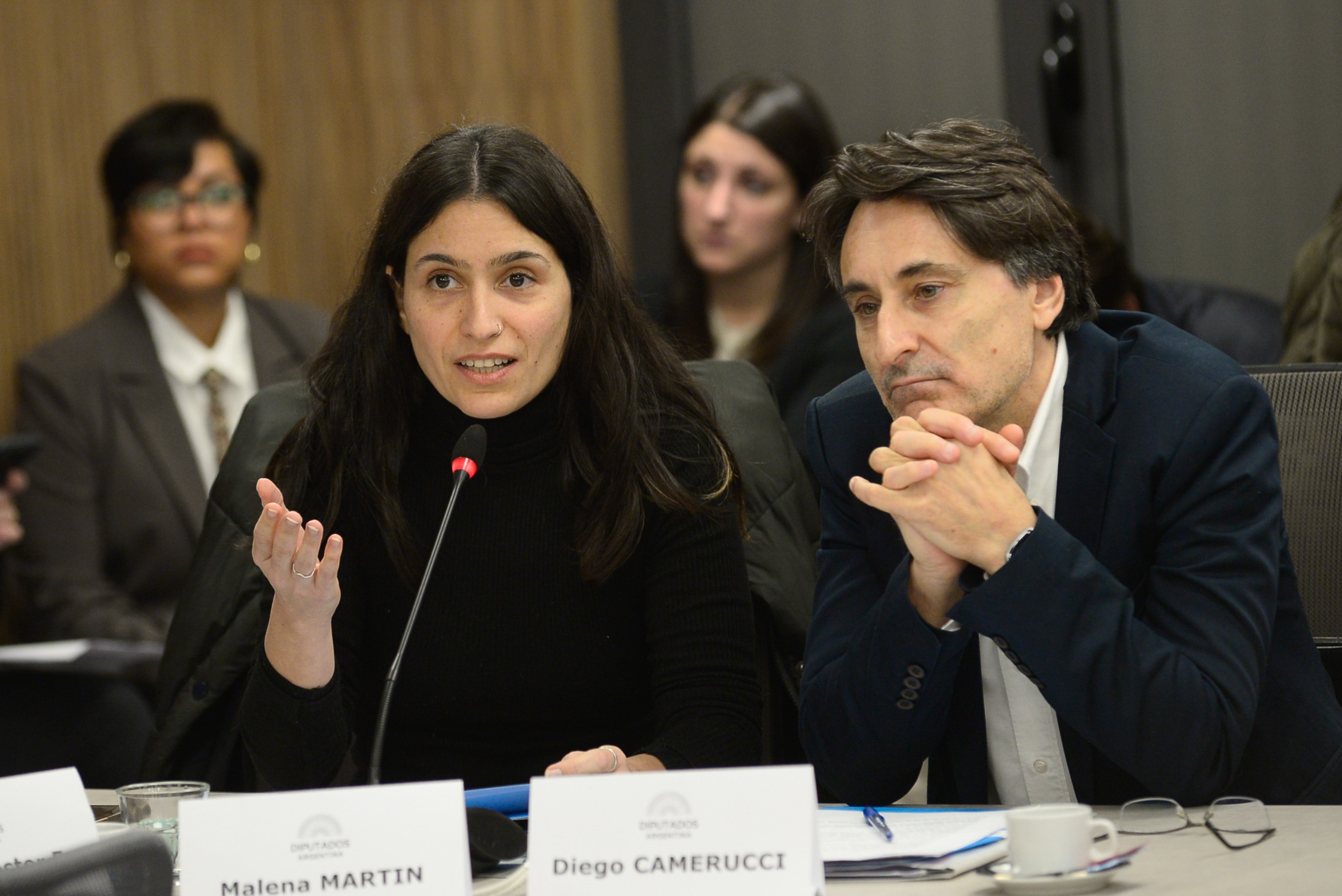Galeria de imagenes de la noticia CON EXPOSITORES, LA COMISIÓN DE TURISMO ABORDÓ LA SITUACIÓN DEL TURISMO SOCIAL