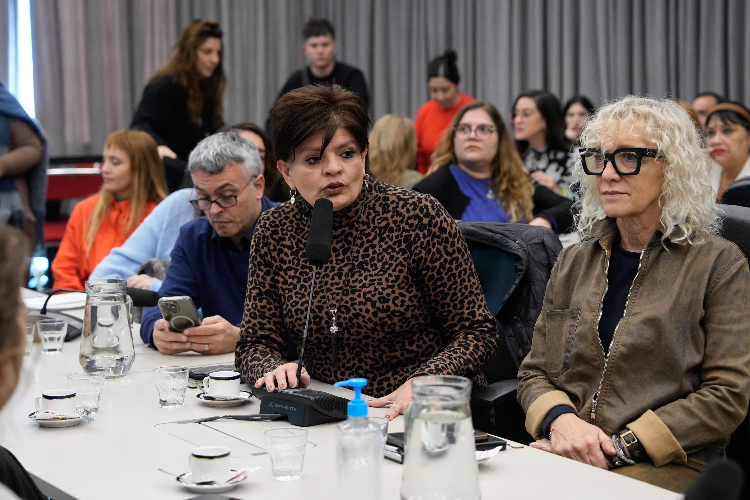 Galeria de imagenes de la noticia CON PARTICIPACIÓN CIUDADANA, PLENARIO DEBATIÓ SOBRE VIOLENCIA VICARIA Y FALSO SÍNDROME DE ALIENACIÓN PARENTAL