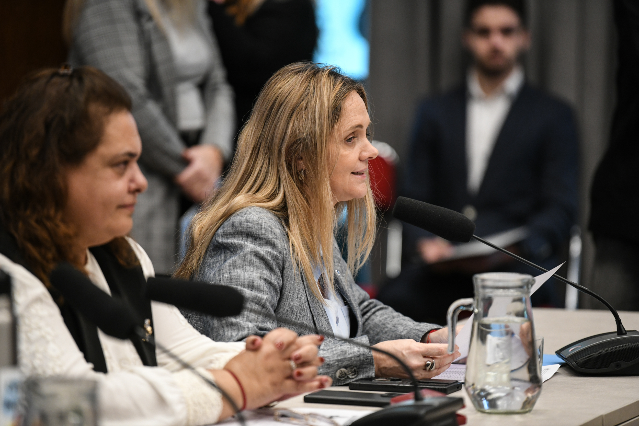 Galeria de imagenes de la noticia CON PARTICIPACIÓN CIUDADANA, PLENARIO DEBATIÓ SOBRE VIOLENCIA VICARIA Y FALSO SÍNDROME DE ALIENACIÓN PARENTAL