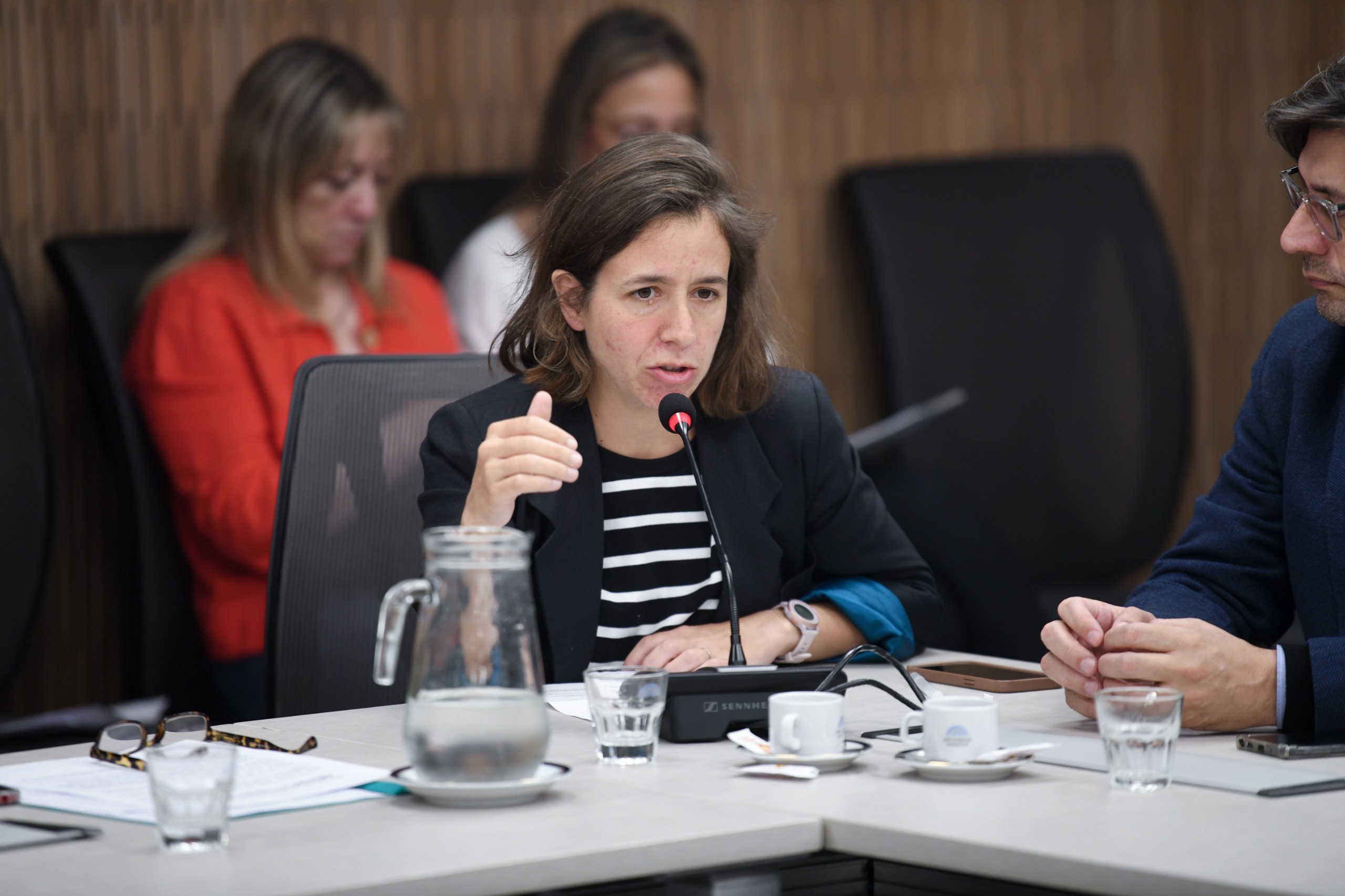 Galeria de imagenes de la noticia EXPUSIERON EN COMISIÓN REPRESENTANTES SOCIALES, DE ASOCIACIONES Y DE BARRIOS POPULARES