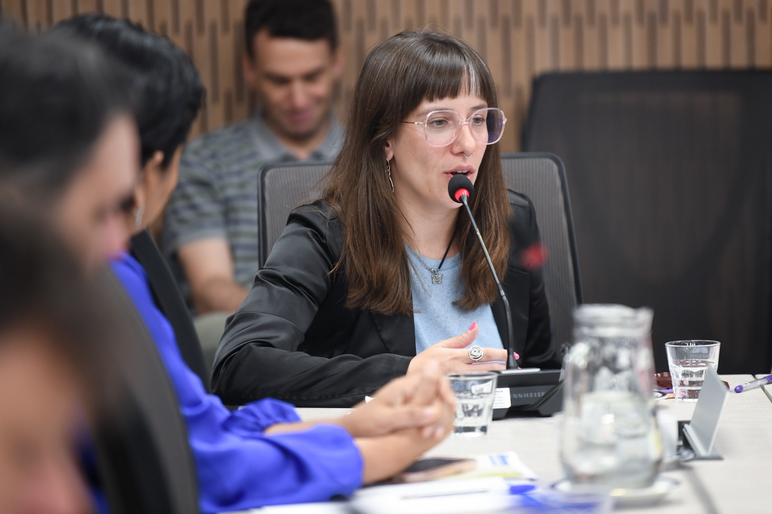 Galeria de imagenes de la noticia EXPUSIERON EN COMISIÓN REPRESENTANTES SOCIALES, DE ASOCIACIONES Y DE BARRIOS POPULARES