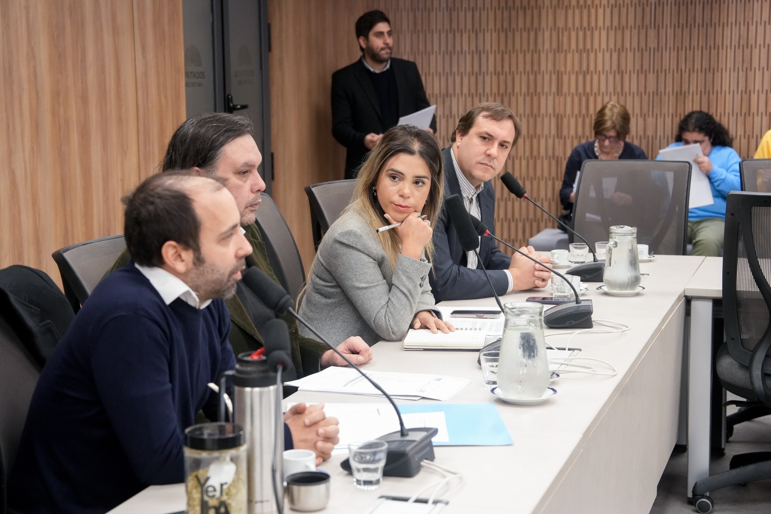 Galeria de imagenes de la noticia CON INVITADOS, COMISIÓN ABORDÓ LA SITUACIÓN ACTUAL DE LA CONSTRUCCIÓN Y LA INVERSIÓN PÚBLICA EN VIVIENDA
