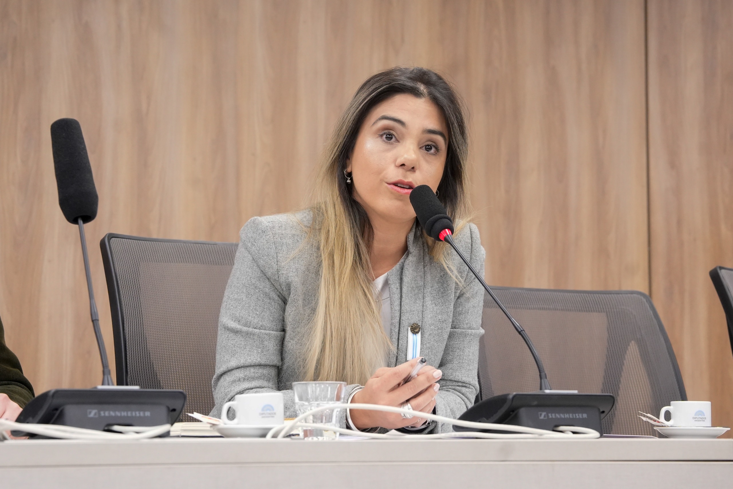 Galeria de imagenes de la noticia CON INVITADOS, COMISIÓN ABORDÓ LA SITUACIÓN ACTUAL DE LA CONSTRUCCIÓN Y LA INVERSIÓN PÚBLICA EN VIVIENDA