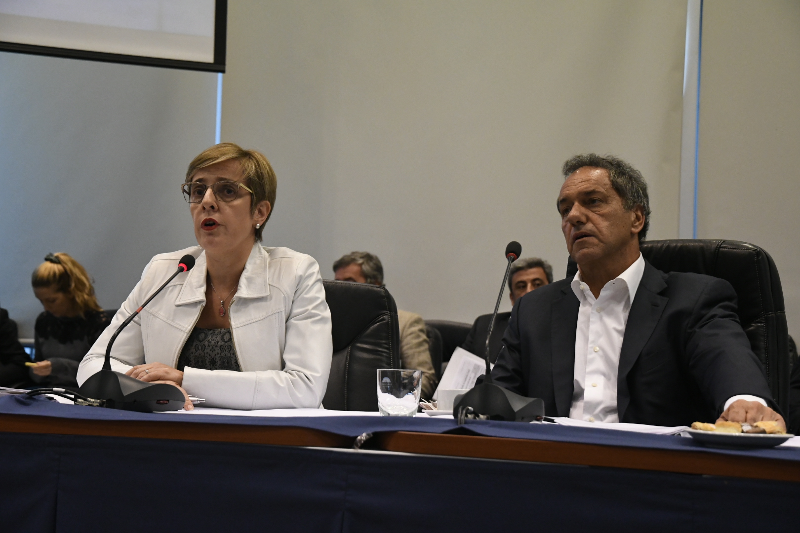 DIPUTADOS RETOMÓ EL PROYECTO CONTRA BARRABRAVAS EN UN PLENARIO DE COMISIONES