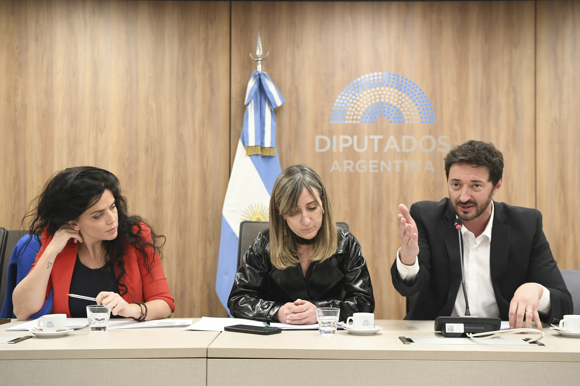 COMISIÓN DE CIENCIA, TECNOLOGÍA E INNOVACIÓN PRODUCTIVA ANALIZÓ PROYECTOS DE RESOLUCIÓN Y DECLARACIÓN