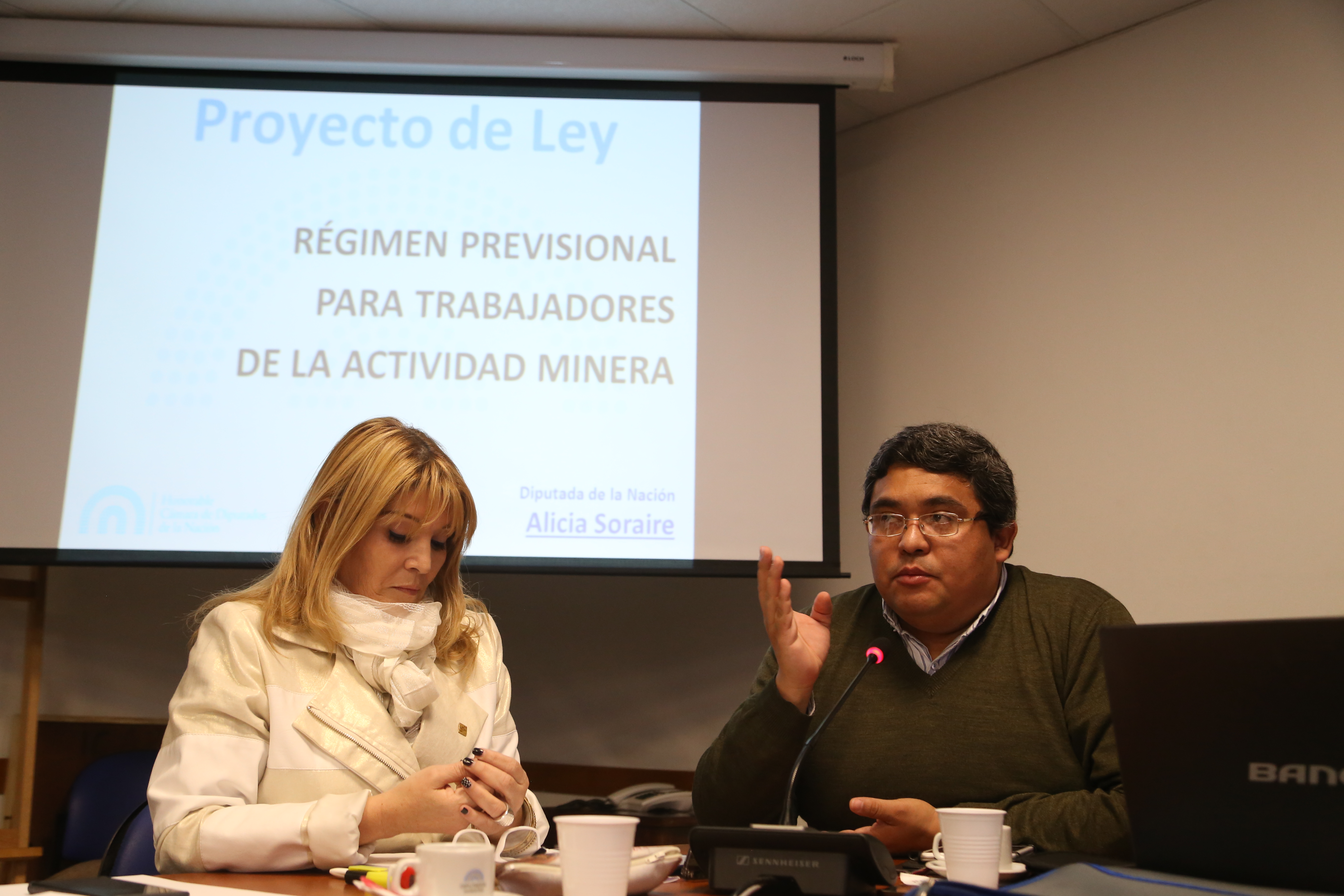 Diputada Alicia Soraire; Secretario general de ASIJEMIN, Marcelo Mena. Créditos: Departamento de fotografía HCDN