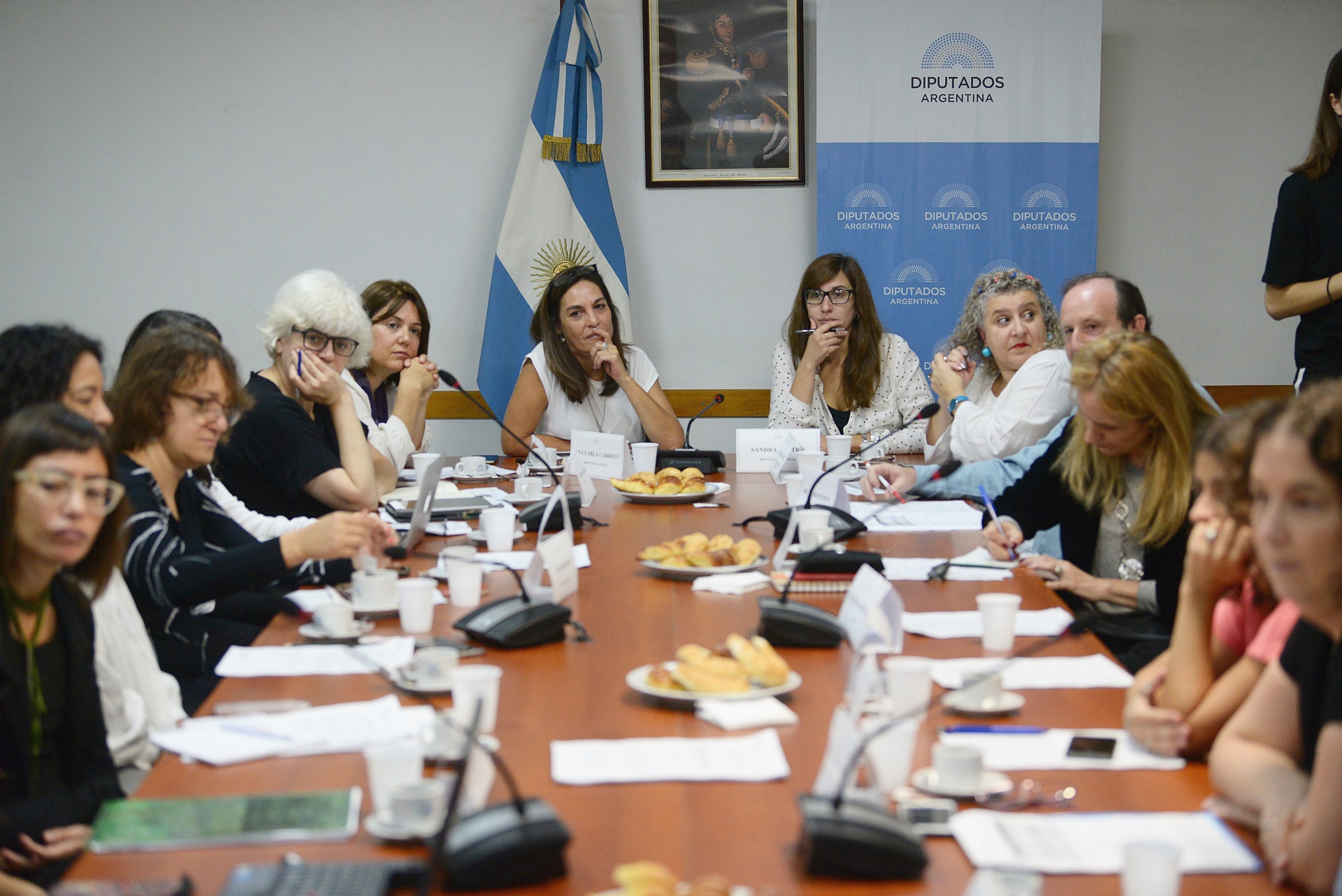 APORTES EN DIPUTADOS PARA LA EQUIDAD DE GÉNERO EN EL ÁMBITO DE LA CIENCIA Y LA TECNOLOGÍA