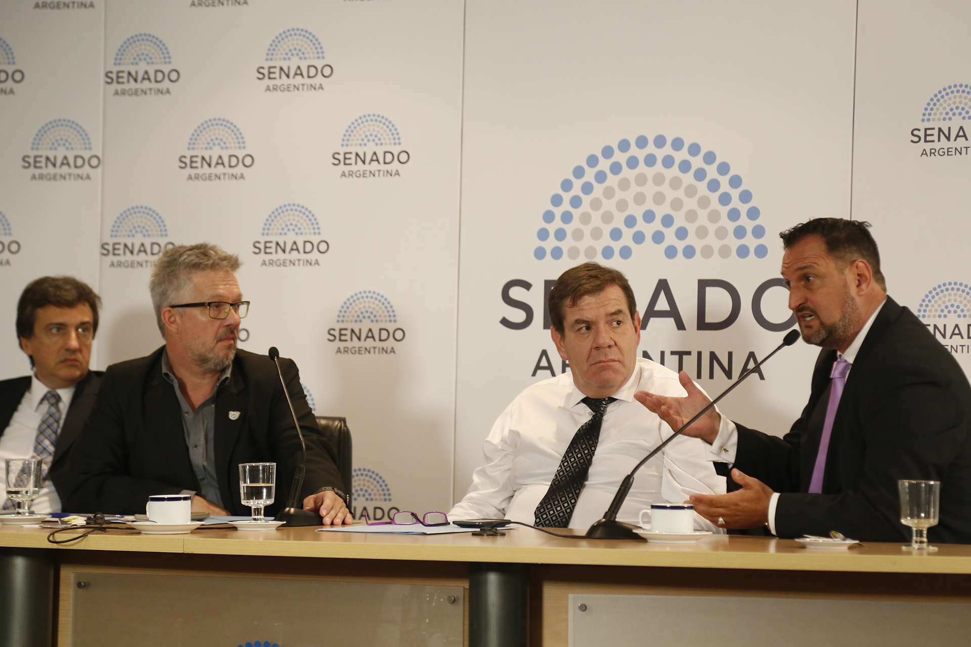 ARA SAN JUAN: EL PADRE DE UNA DE LAS VÍCTIMAS EXPUSO ANTE LA BICAMERAL INVESTIGADORA
