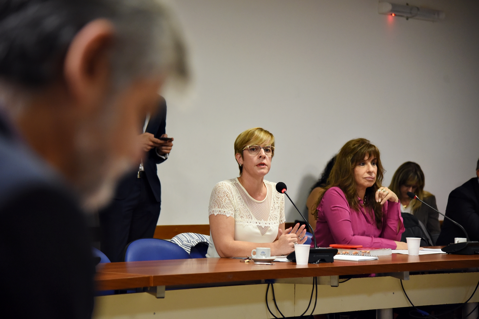 AVANZA EN DIPUTADOS EL PROYECTO QUE BUSCA TIPIFICAR AL ACOSO SEXUAL CALLEJERO COMO DELITO