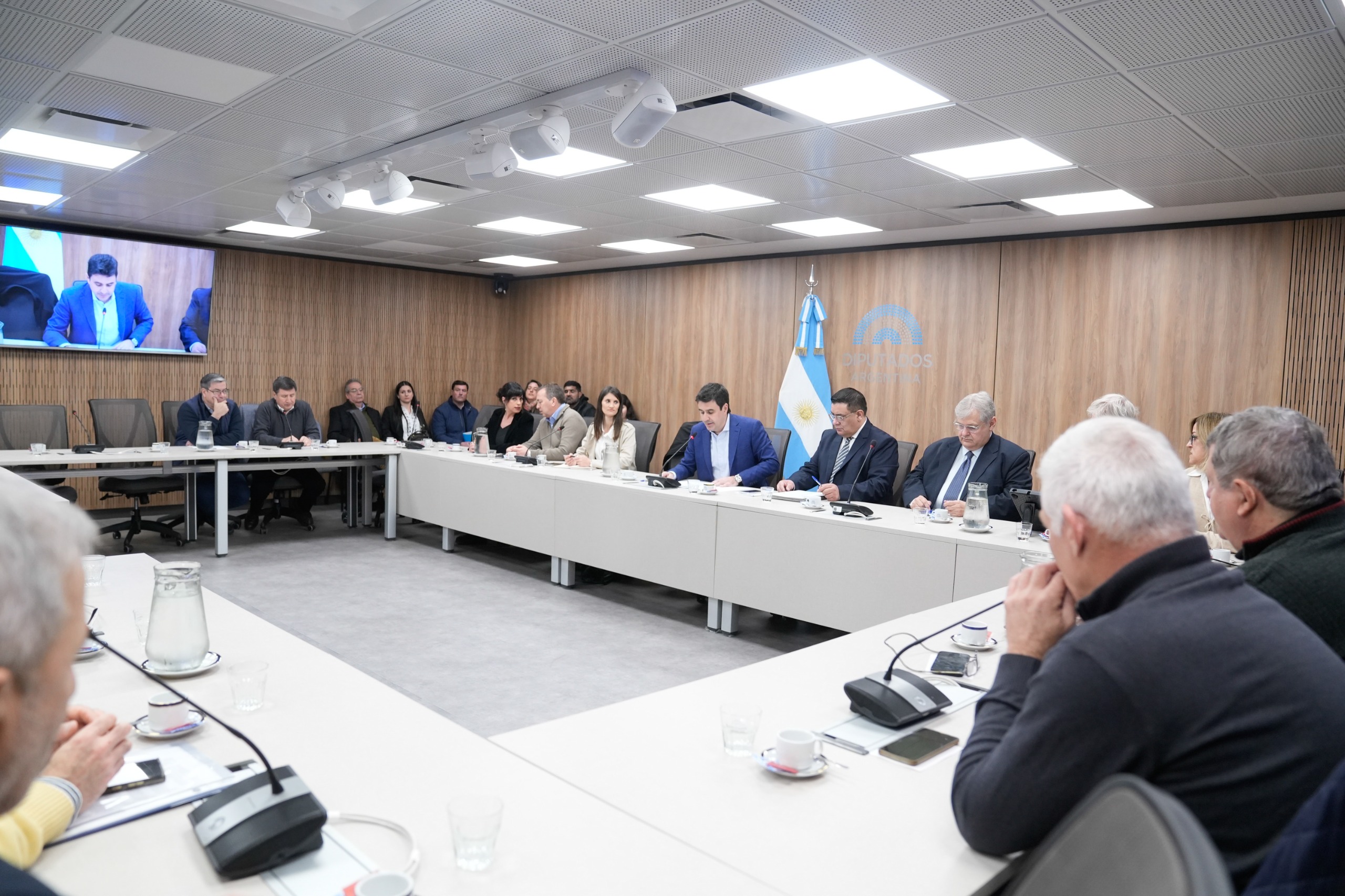 Comisión de Asuntos Cooperativos, Mutuales y ONGS