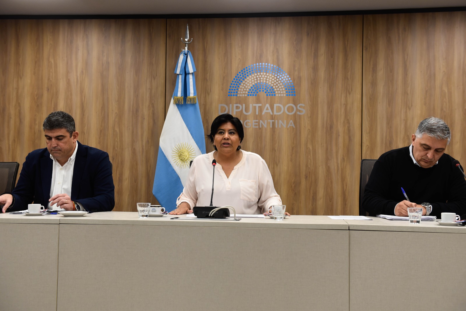 Comisión Bicameral del Defensor de los derechos