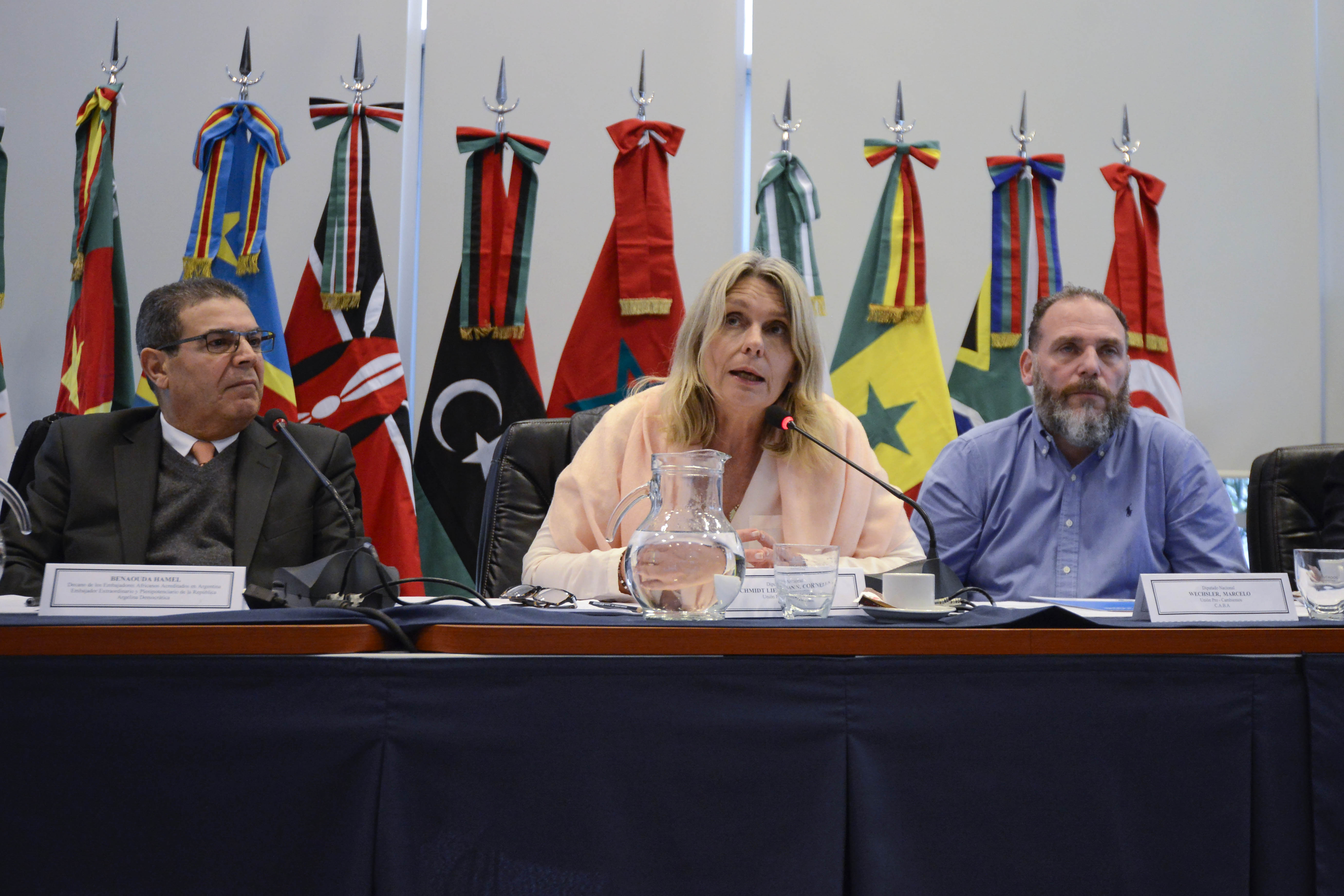 ENCUENTRO BILATERAL PARA FORTALECER LOS LAZOS CON PAÍSES DE ÁFRICA
