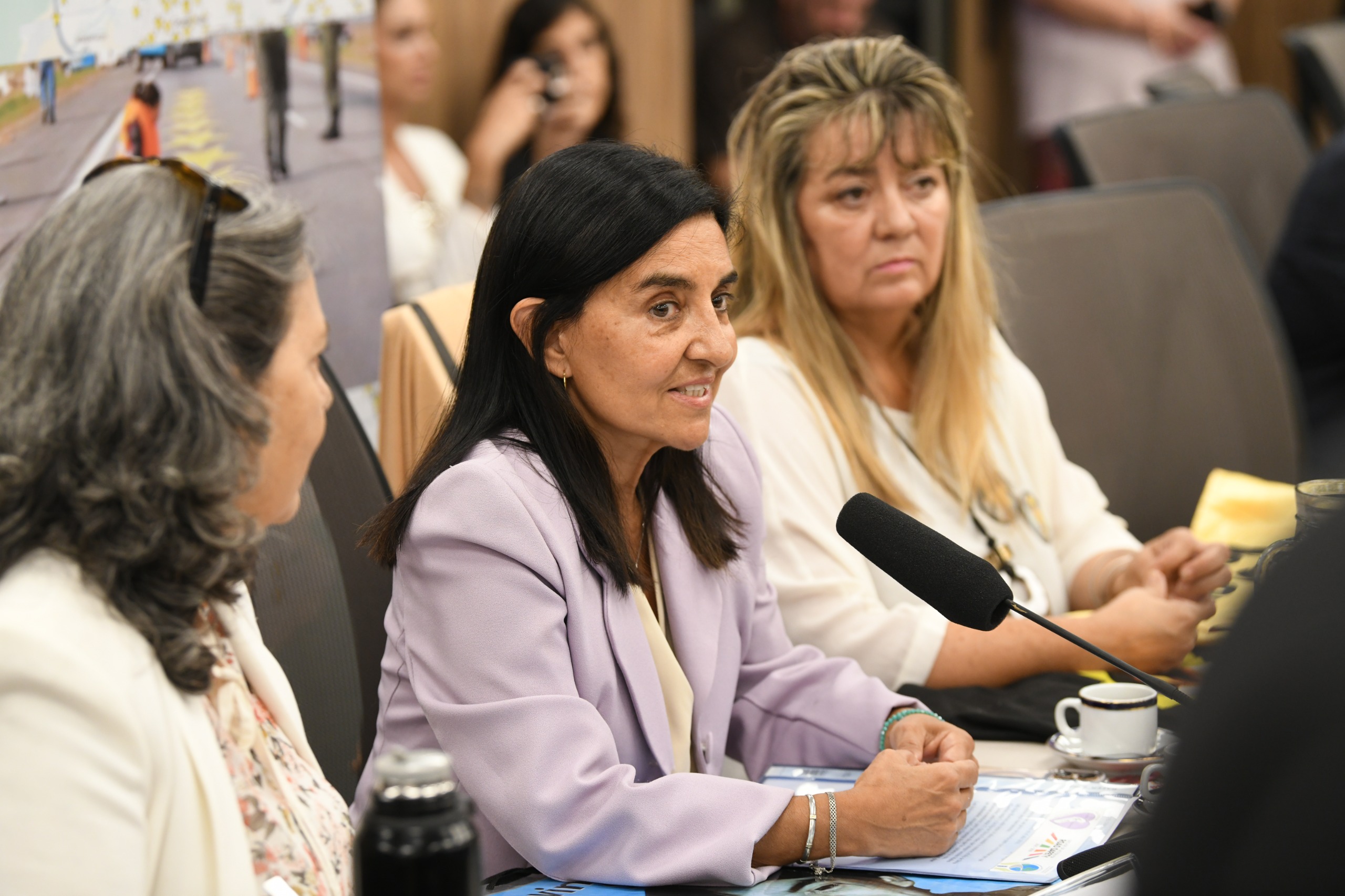 ASOCIACIONES DE VÍCTIMAS DE SINIESTROS VIALES EXPUSIERON ANTE LA COMISIÓN DE LEGISLACIÓN PENAL