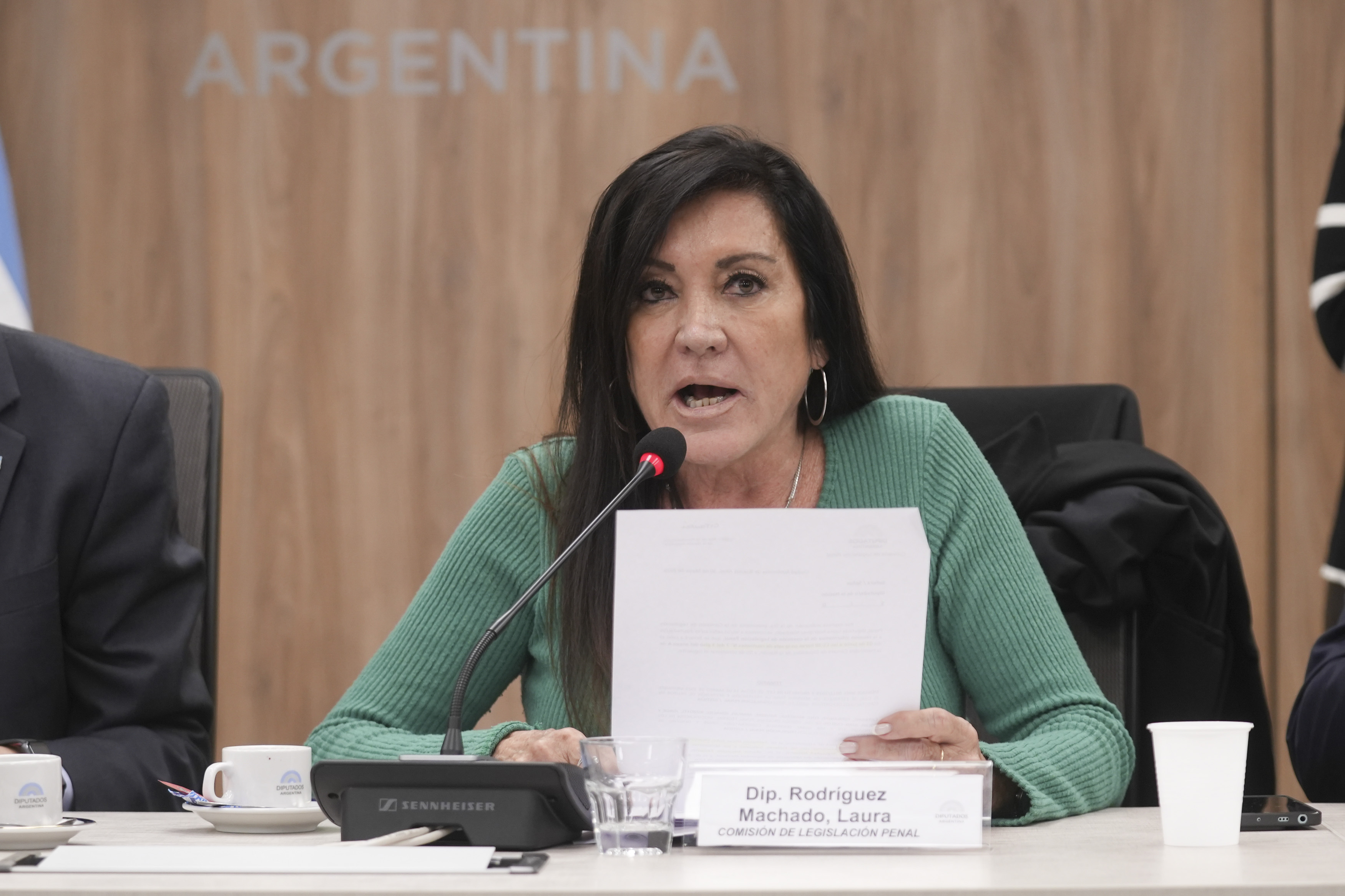 REPRESENTANTES DEL MINISTERIO DE SEGURIDAD Y DE AFA RESPALDARON EL PROYECTO ANTI BARRAS EN EL FÚTBOL