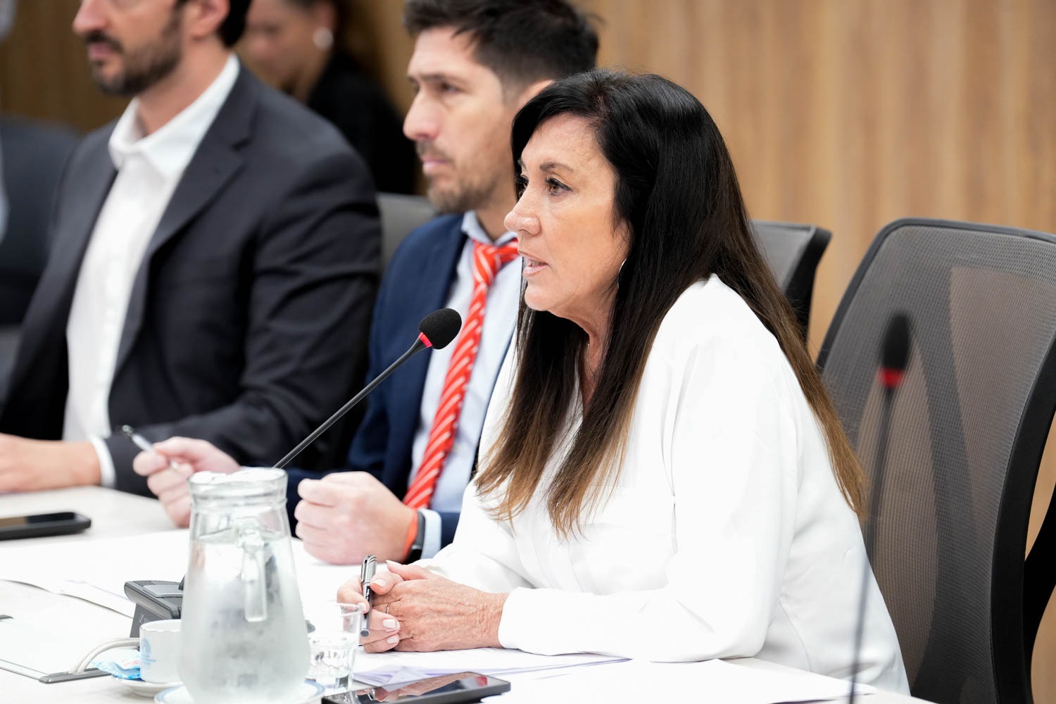 DIPUTADOS DEBATIÓ EN COMISIÓN EL PROYECTO DE PRINCIPIO DE INOCENCIA FISCAL