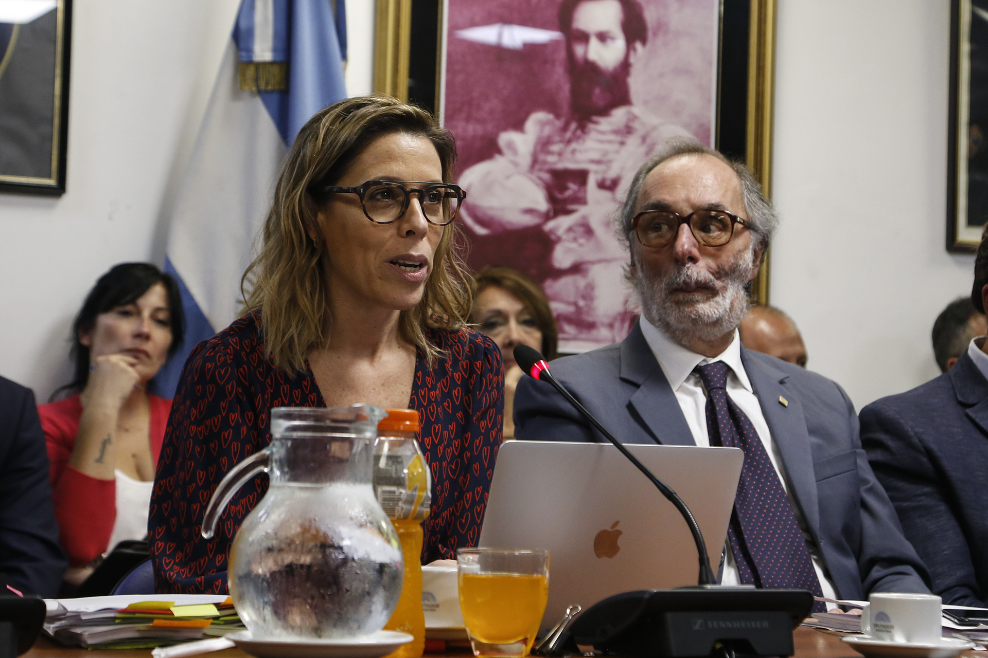 LAURA ALONSO PRESENTÓ LA NUEVA LEY DE ÉTICA PÚBLICA ANTE PLENARIO DE COMISIONES