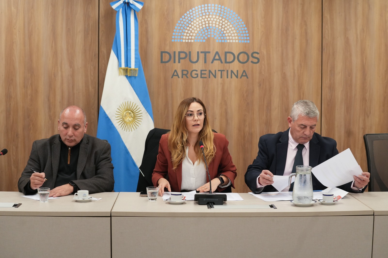 LA COMISIÓN DE MINERÍA DEBATIÓ LA TEMÁTICA DE LAS “TIERRAS RARAS”