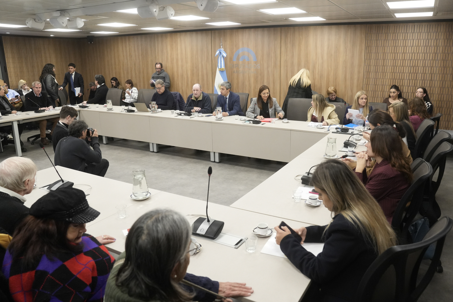 COMISIÓN DE LAS PERSONAS MAYORES ANALIZÓ EL ESTADO DE LAS PRESTACIONES DEL PAMI