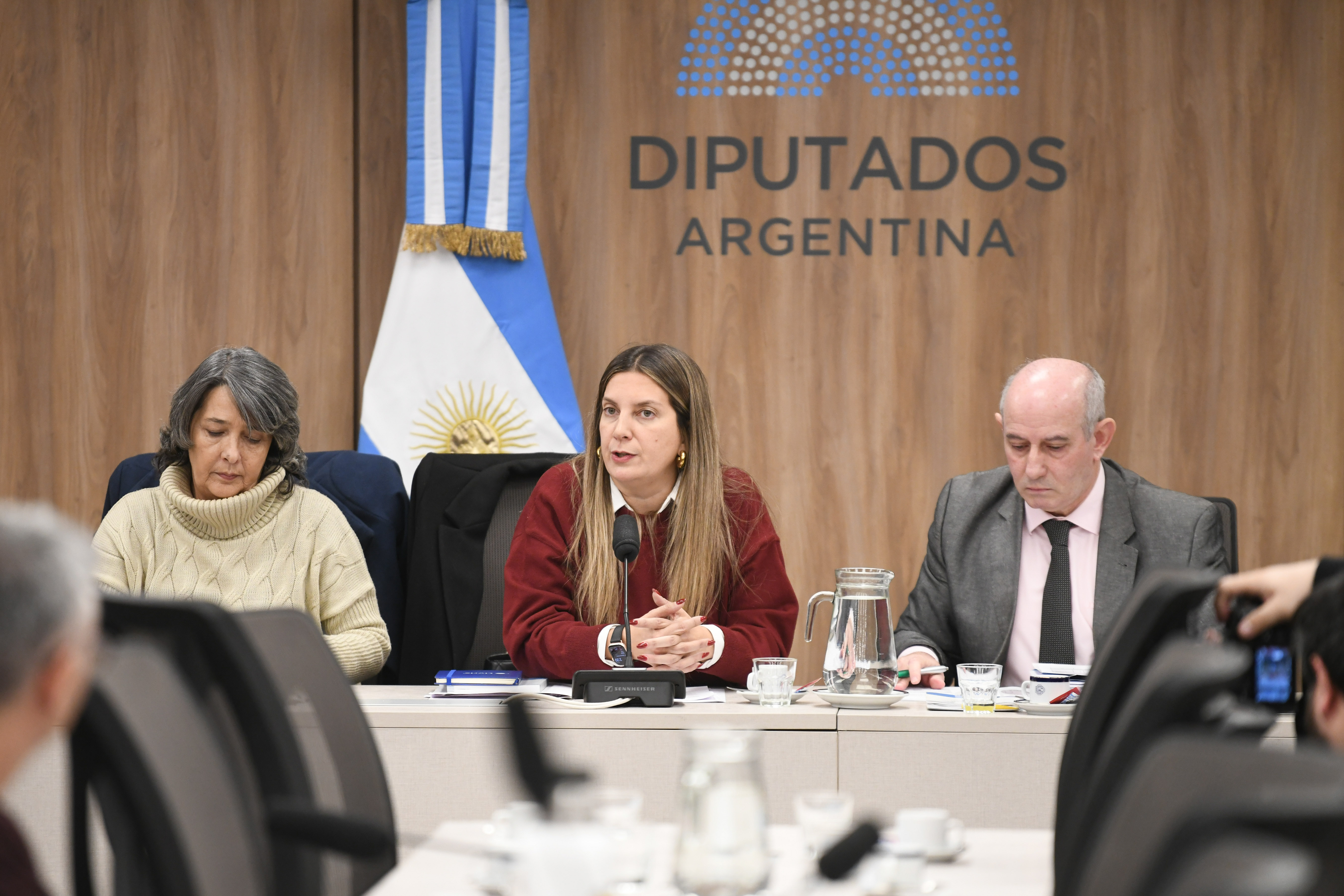 DEBATIERON LA CREACIÓN DE UNA COMISIÓN INVESTIGADORA SOBRE EL FENTANILO CONTAMINADO
