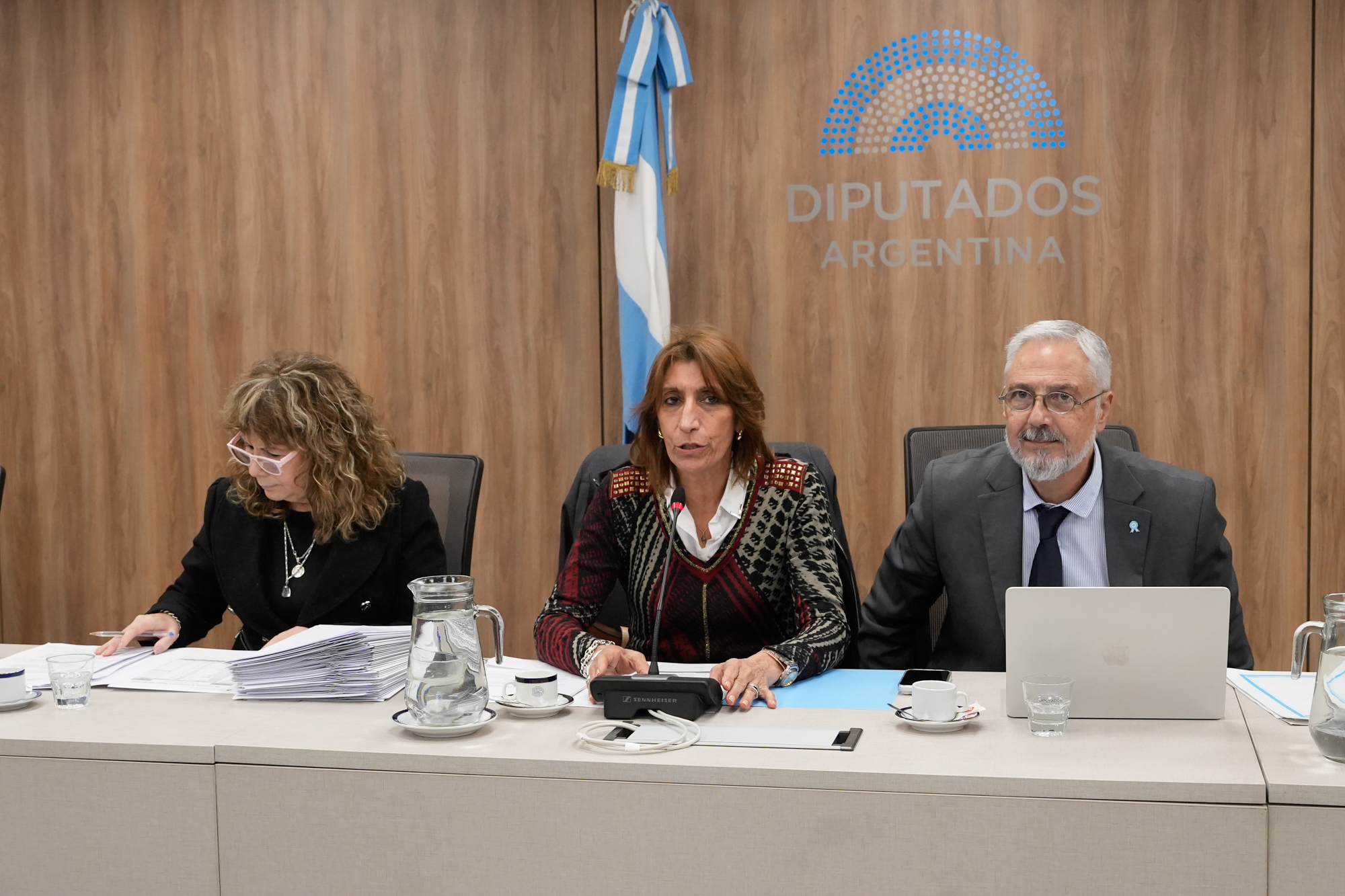 LA COMISIÓN DE POBLACIÓN DEBATIÓ UN PROYECTO QUE BUSCA CENSAR A LOS ELECTRODEPENDIENTES