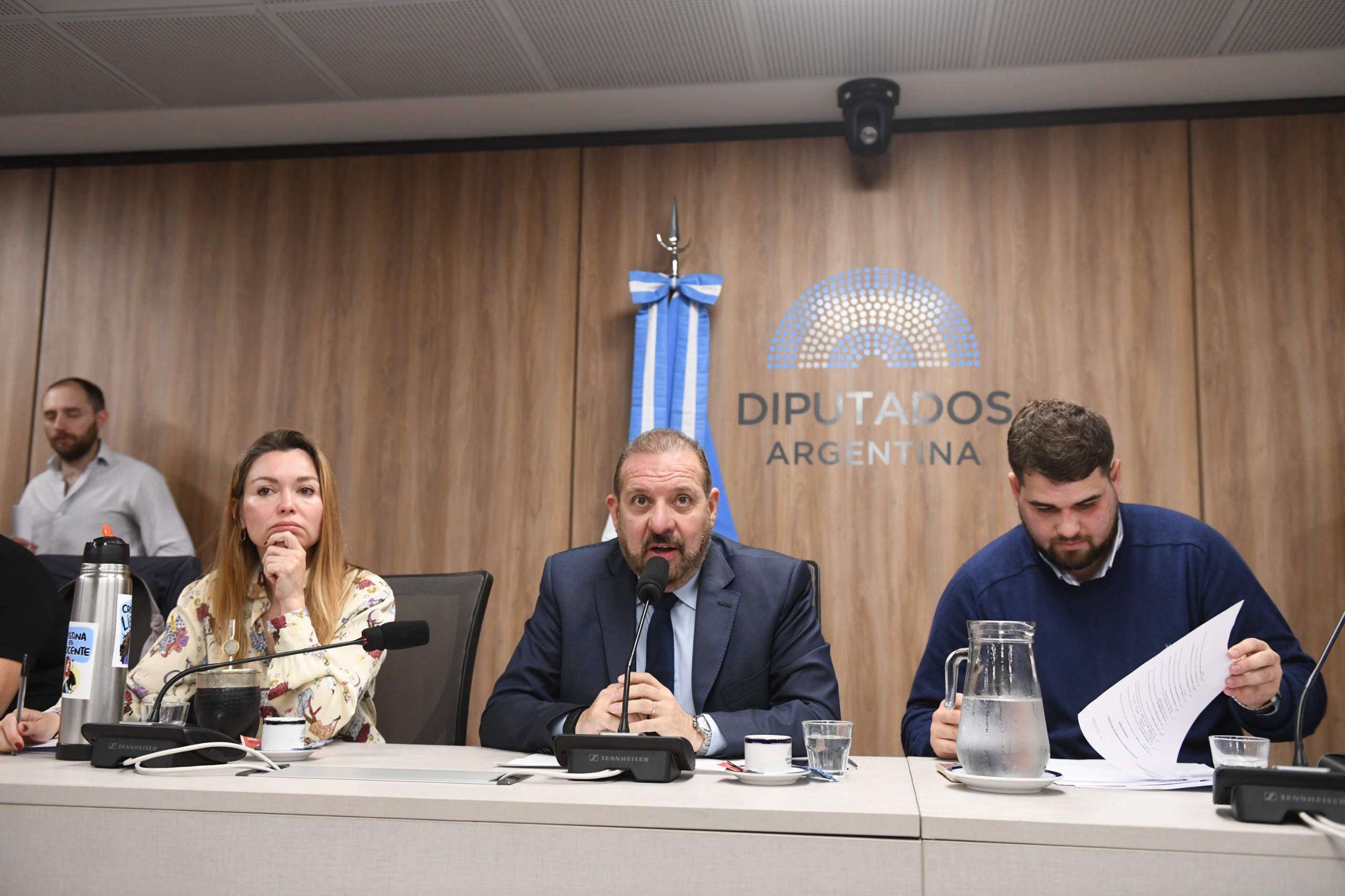 Comisión de Recursos Naturales y Conservación del Ambiente Humano