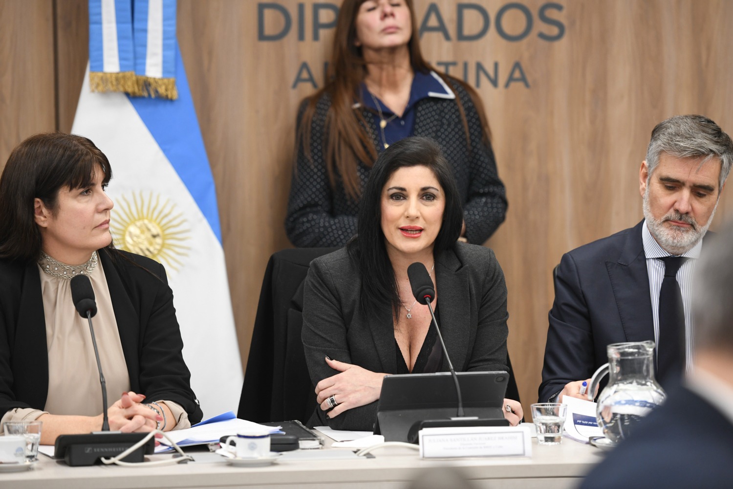 PLENARIO DICTAMINÓ A FAVOR DEL ACUERDO DE LIBRE COMERCIO ENTRE EL MERCOSUR Y SINGAPUR