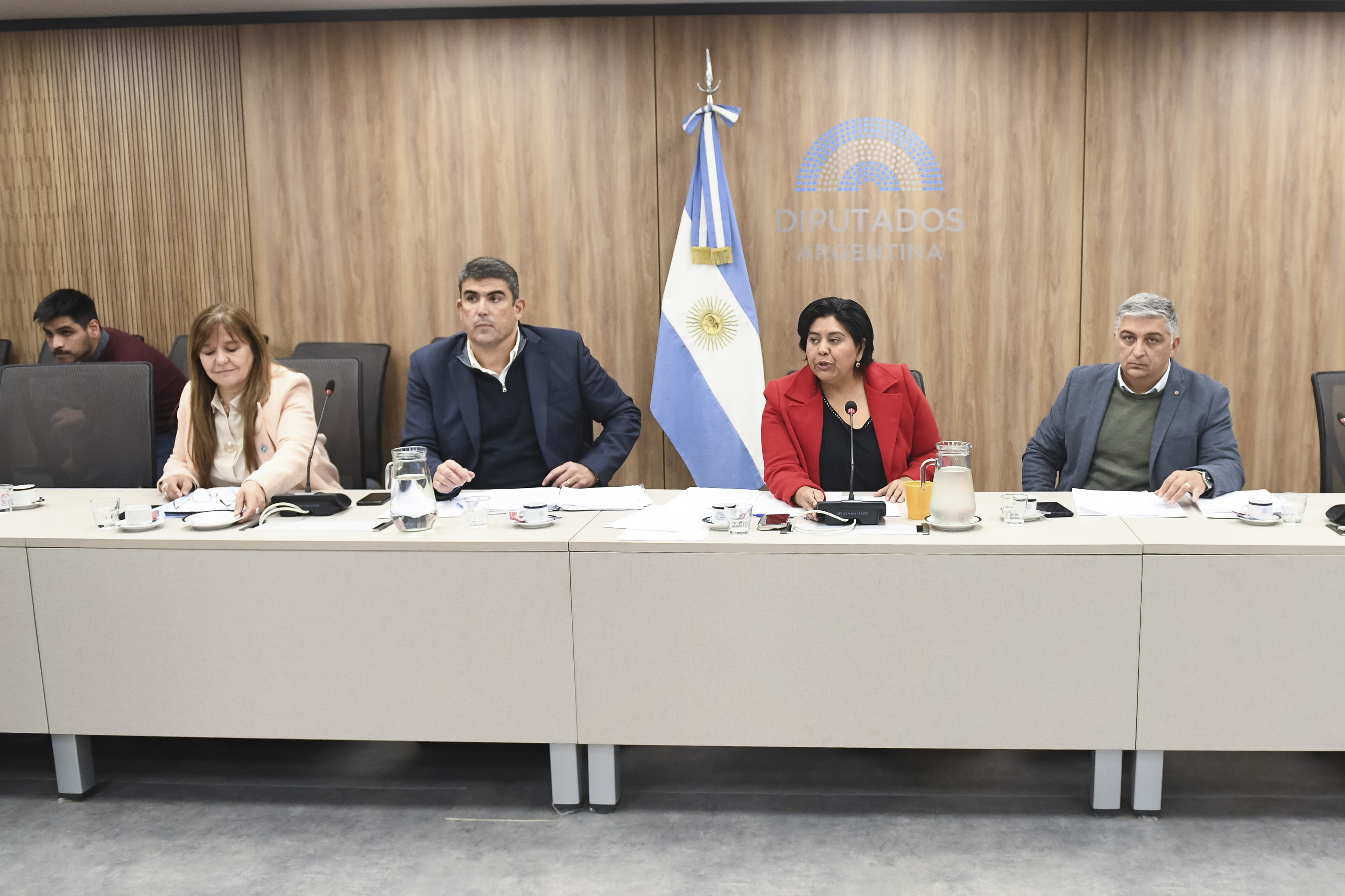 bicameral defensor niños, niñas y adolescentes