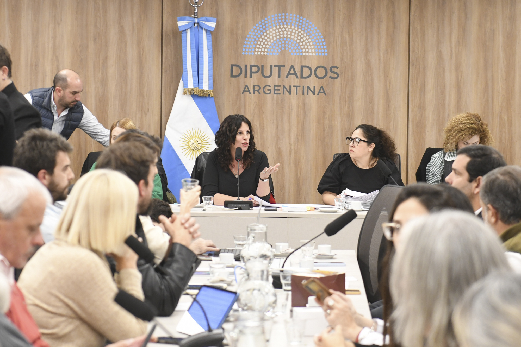 comision de cultura