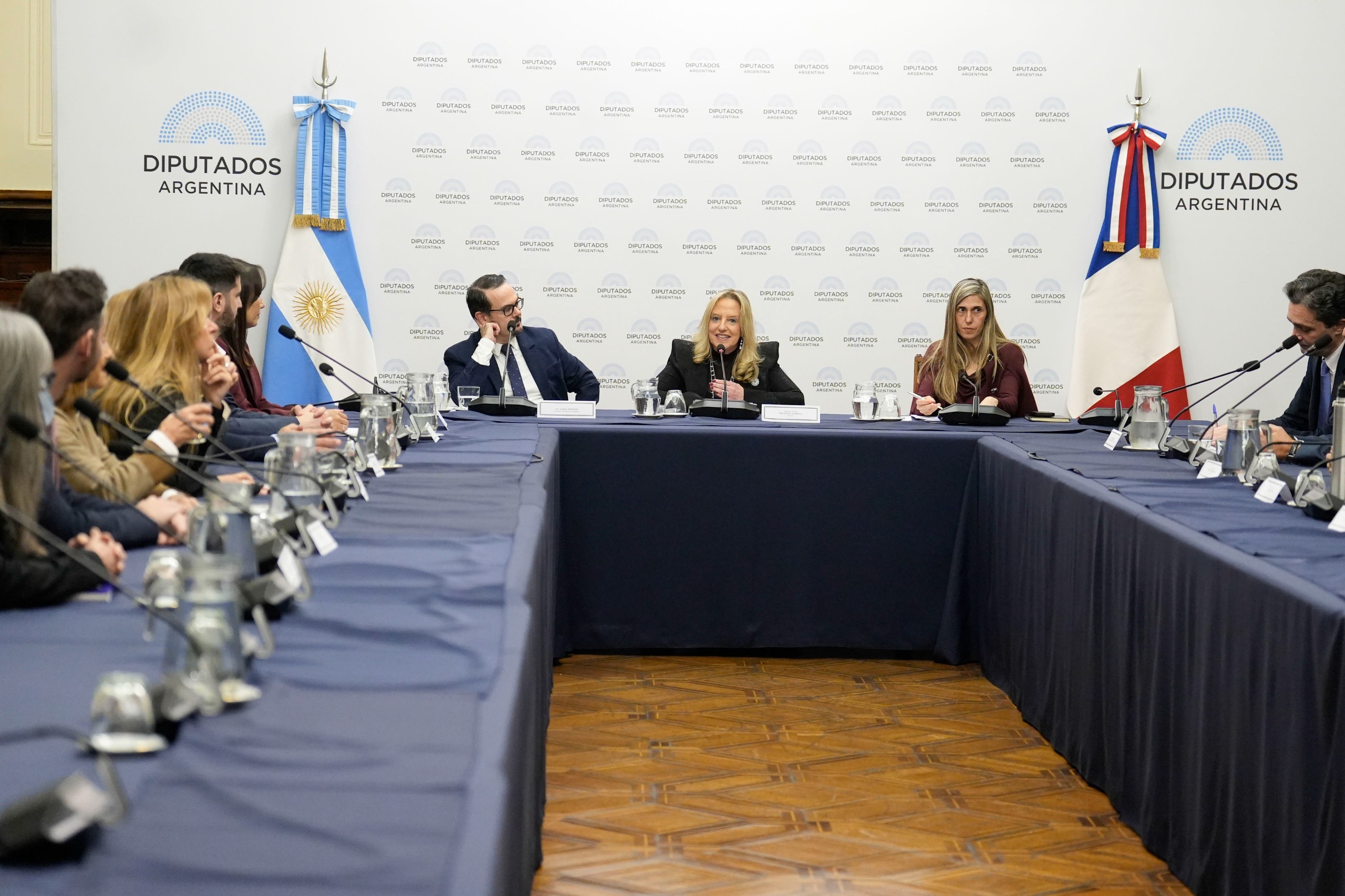 JUNTO AL EMBAJADOR NADAL, SE CONSTITUYÓ EL GRUPO PARLAMENTARIO DE AMISTAD CON FRANCIA