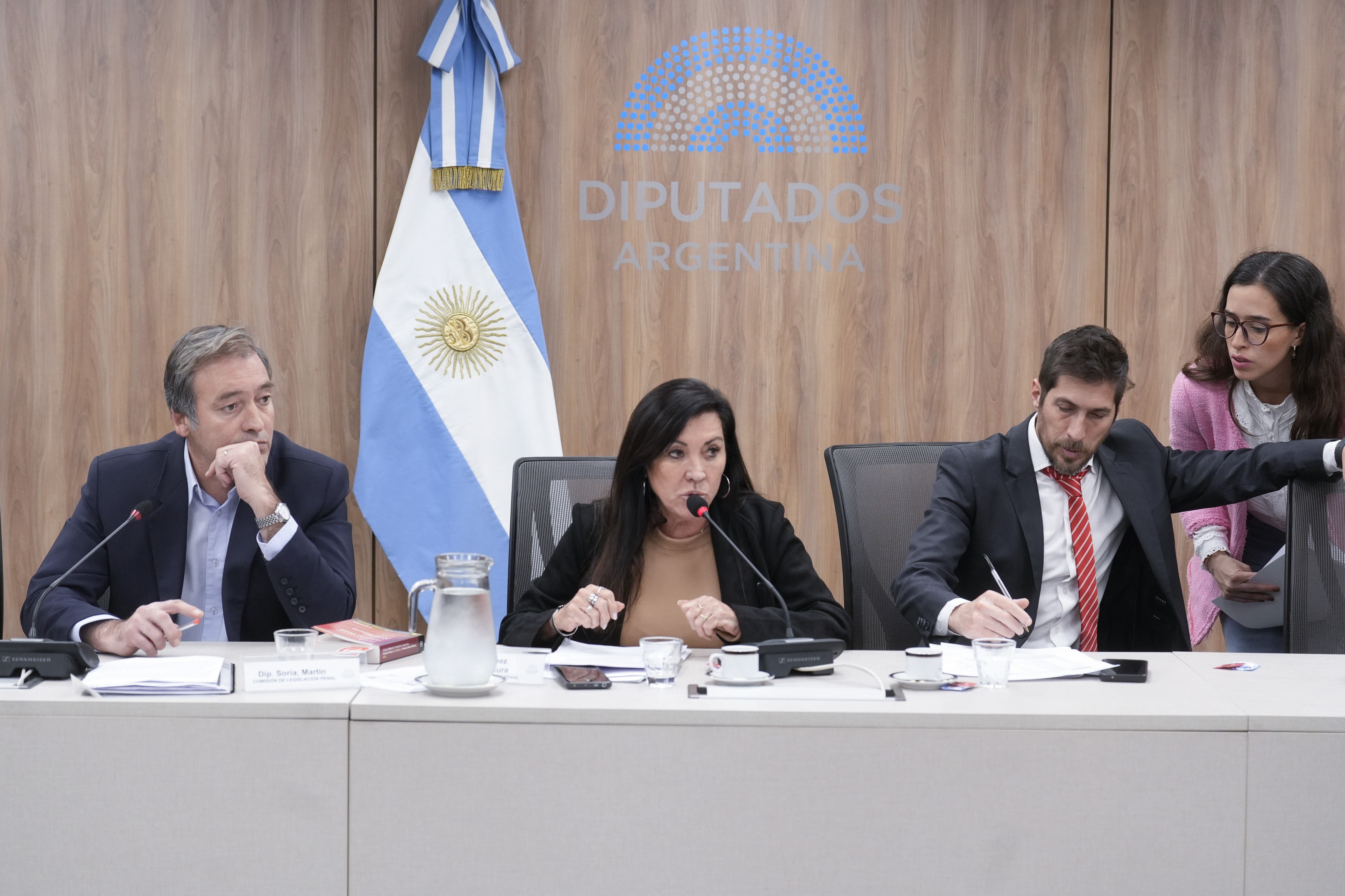 legislacion penal