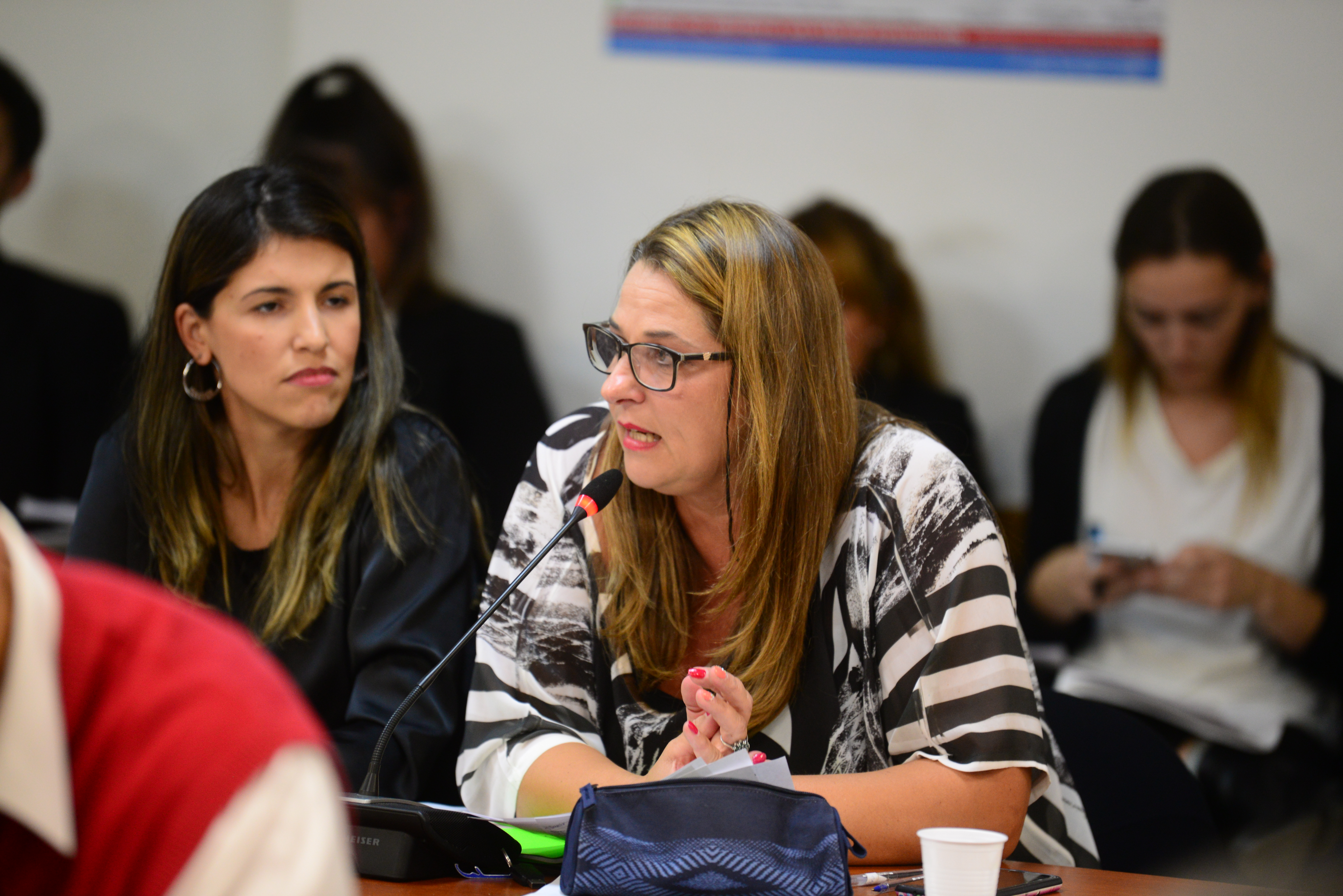 UN PLENARIO DE COMISIONES DEBATE UNA REFORMA INTEGRAL DE LA LEY DE PROTECCIÓN ANIMAL 