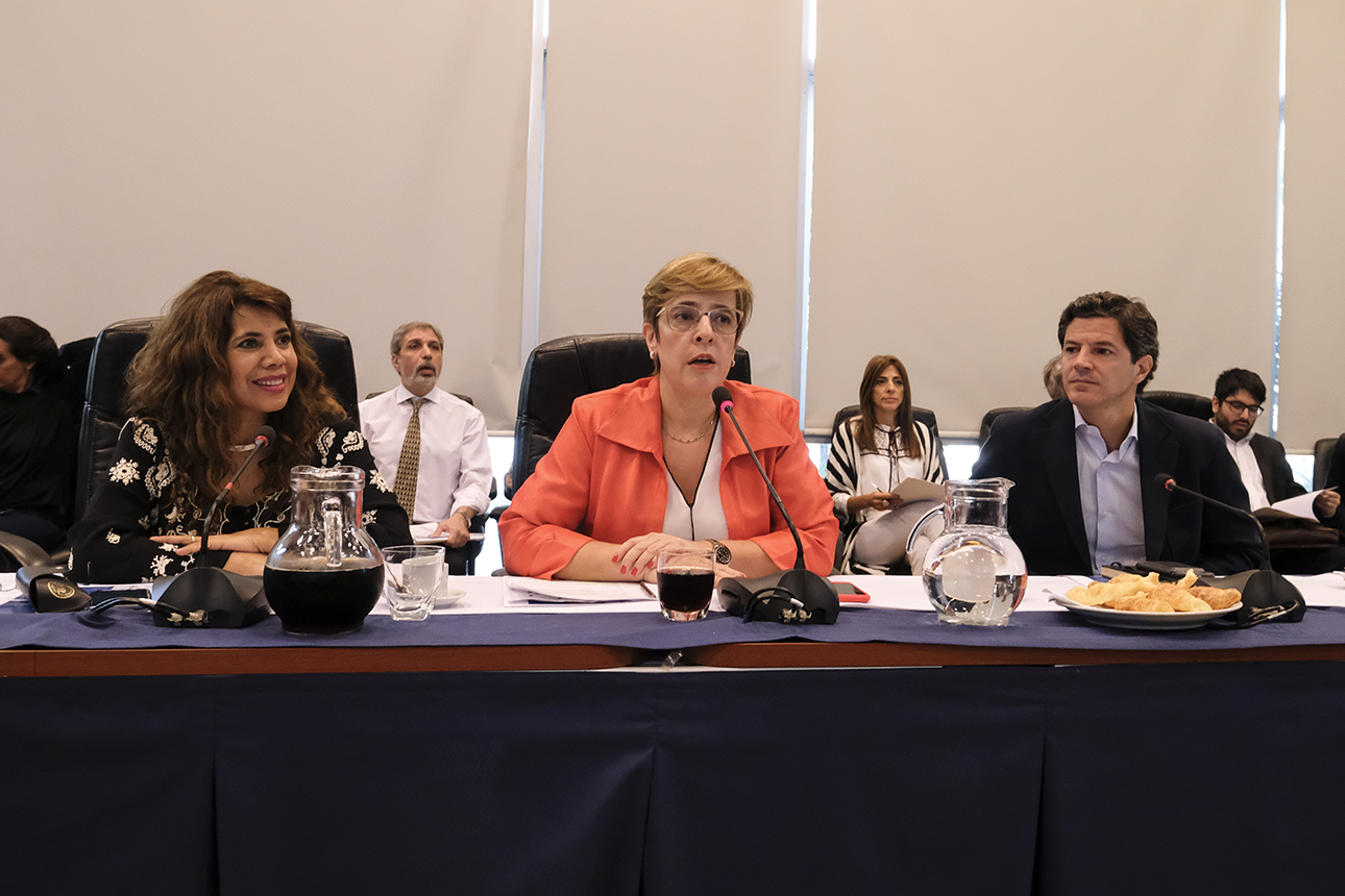 YA SE DEBATE EL NUEVO RÉGIMEN PENAL JUVENIL Y HABRÁ AUDIENCIAS PARA ESCUCHAR A ESPECIALISTAS