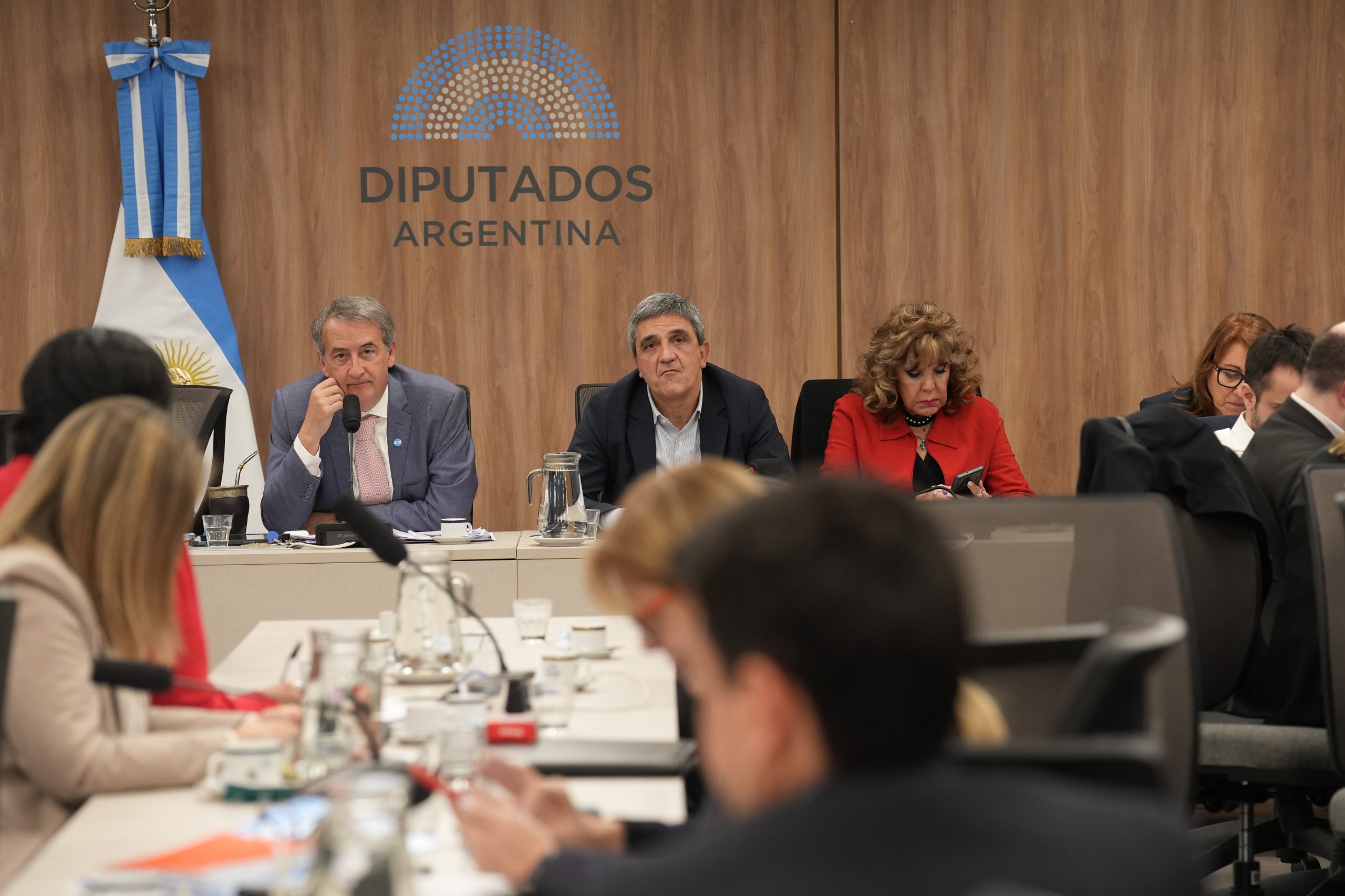 asuntos constitucionales y salud